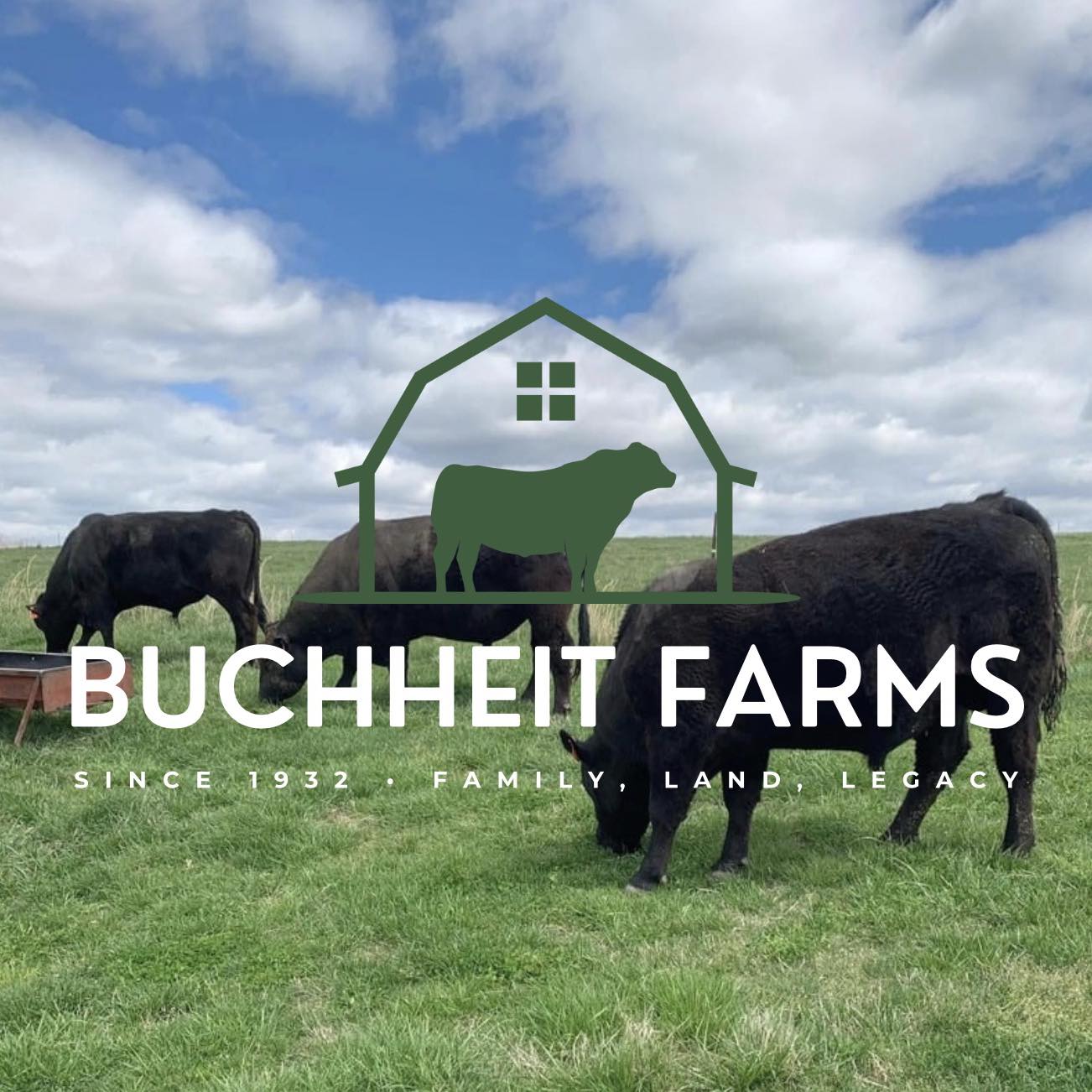 Buchheit Farms on Reels
