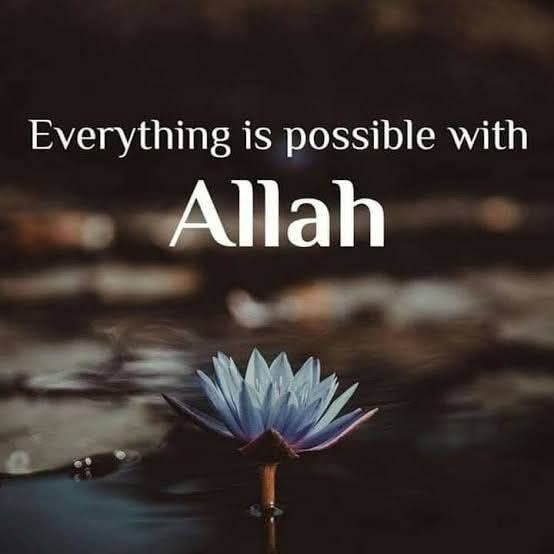 Mawlana Tariful Islam
