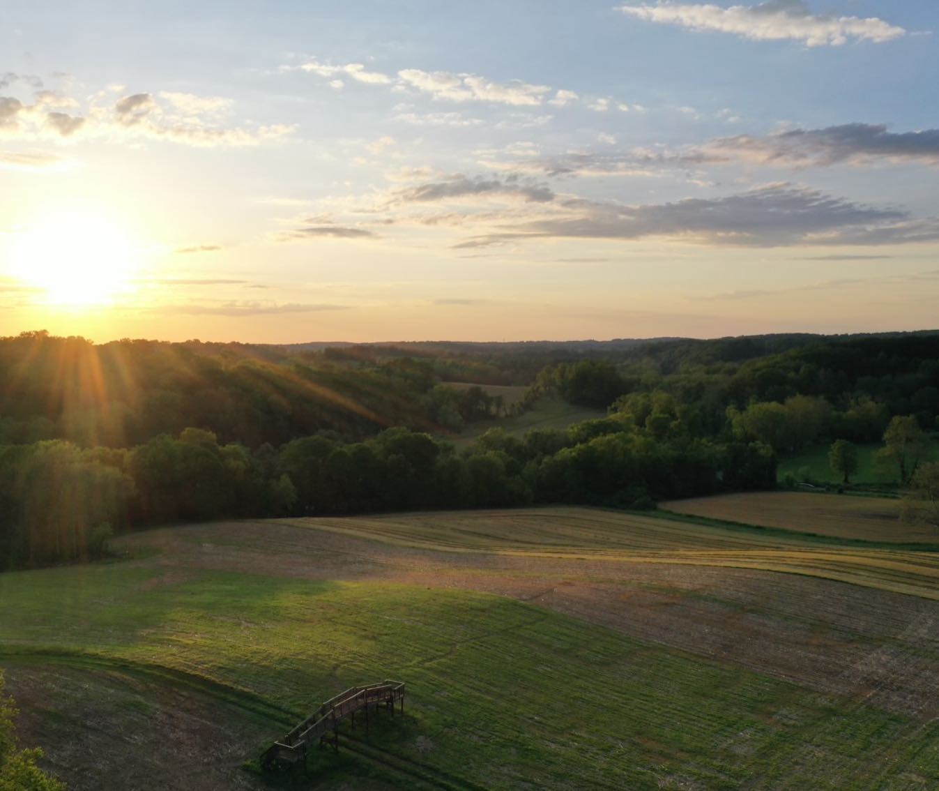 New Roots by Ramsey's Farm | Chadds Ford PA