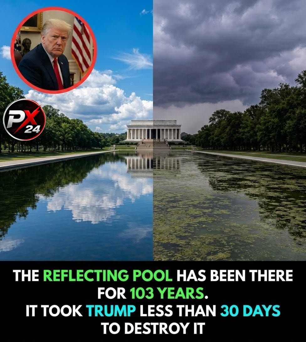 THIS is what the Reflecting Pool used to look like under great