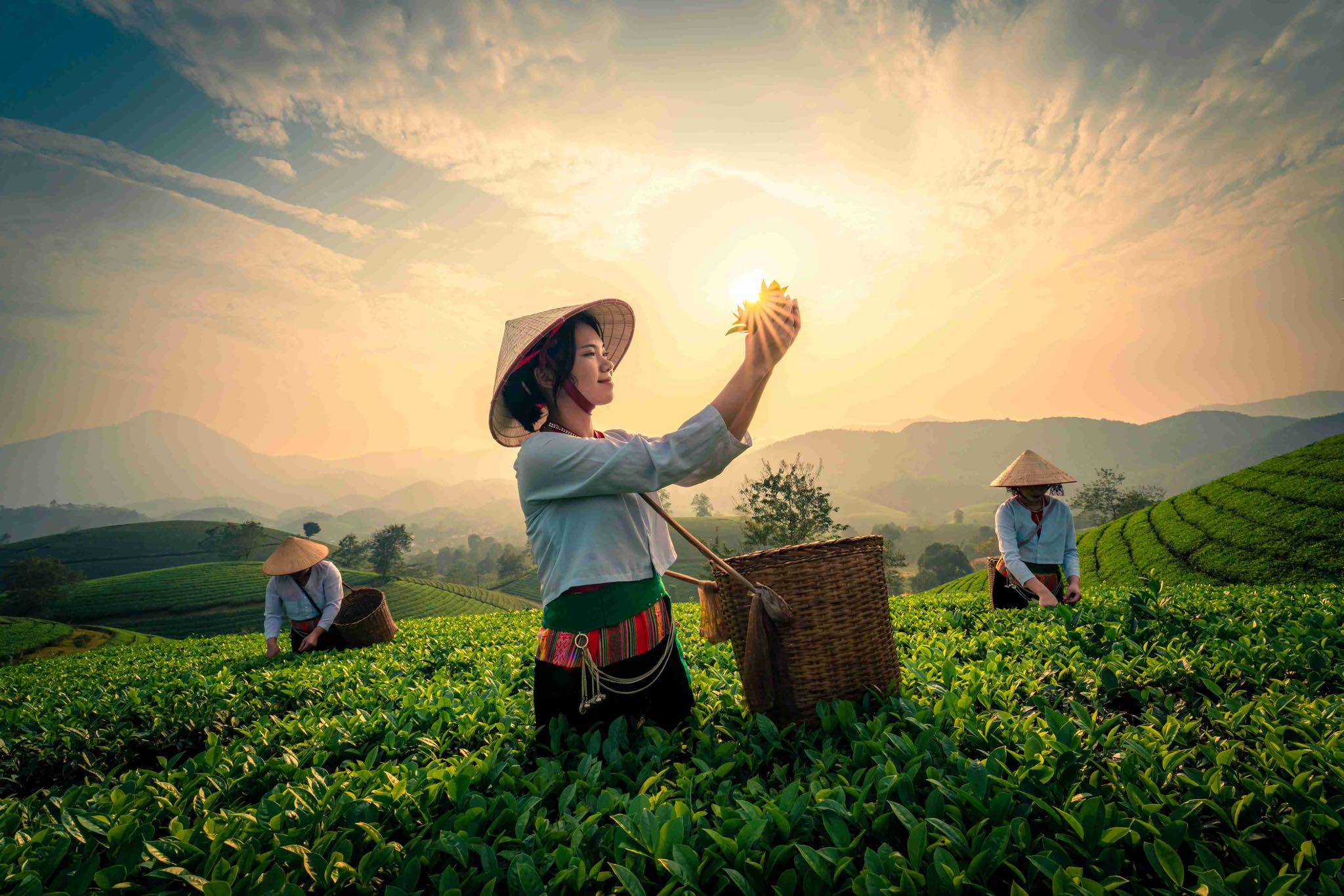 Phiên Tea | Ho Chi Minh City