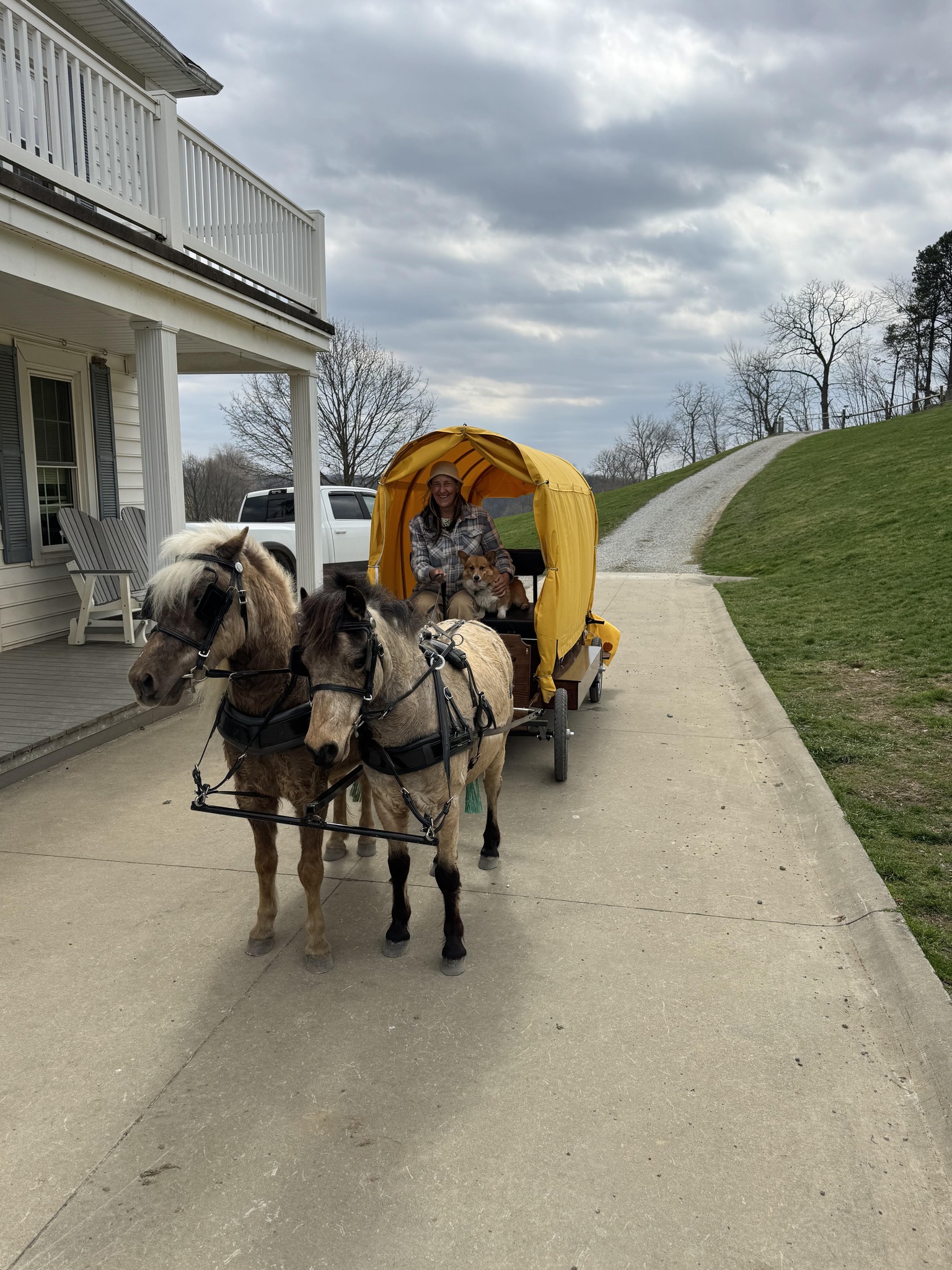 Free Range Rodeo