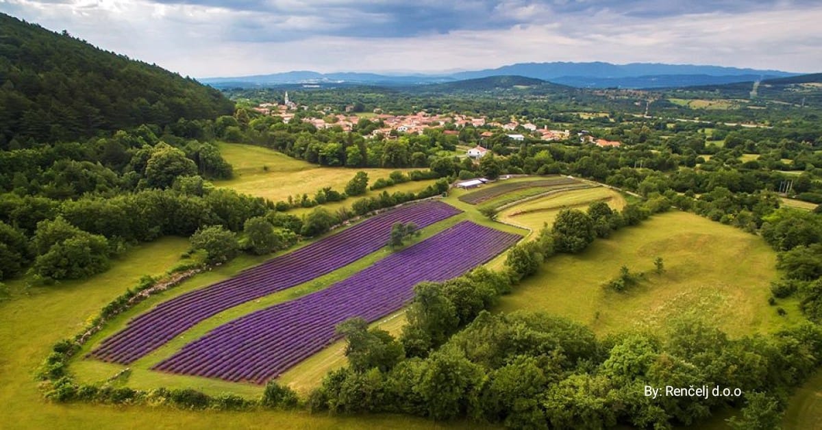 Razvojno Združenje Repentabor - Tudi v RZ Repentabor se bomo pridružili ...