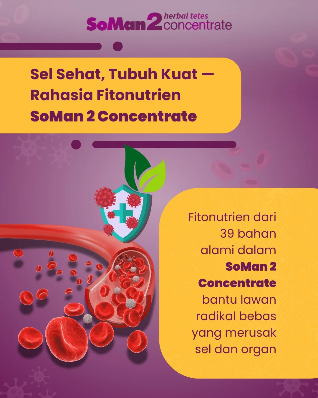 SoMan 2 Concentrate Jatengdiy