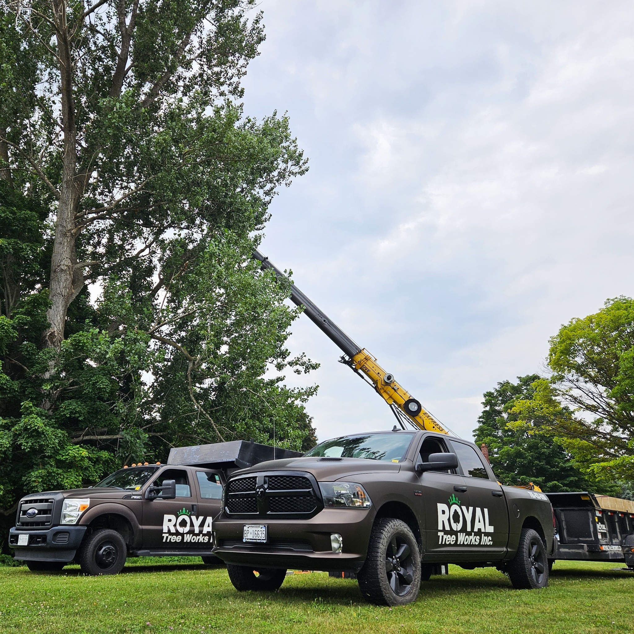 Royal Tree Works Inc. | Port McNicoll ON
