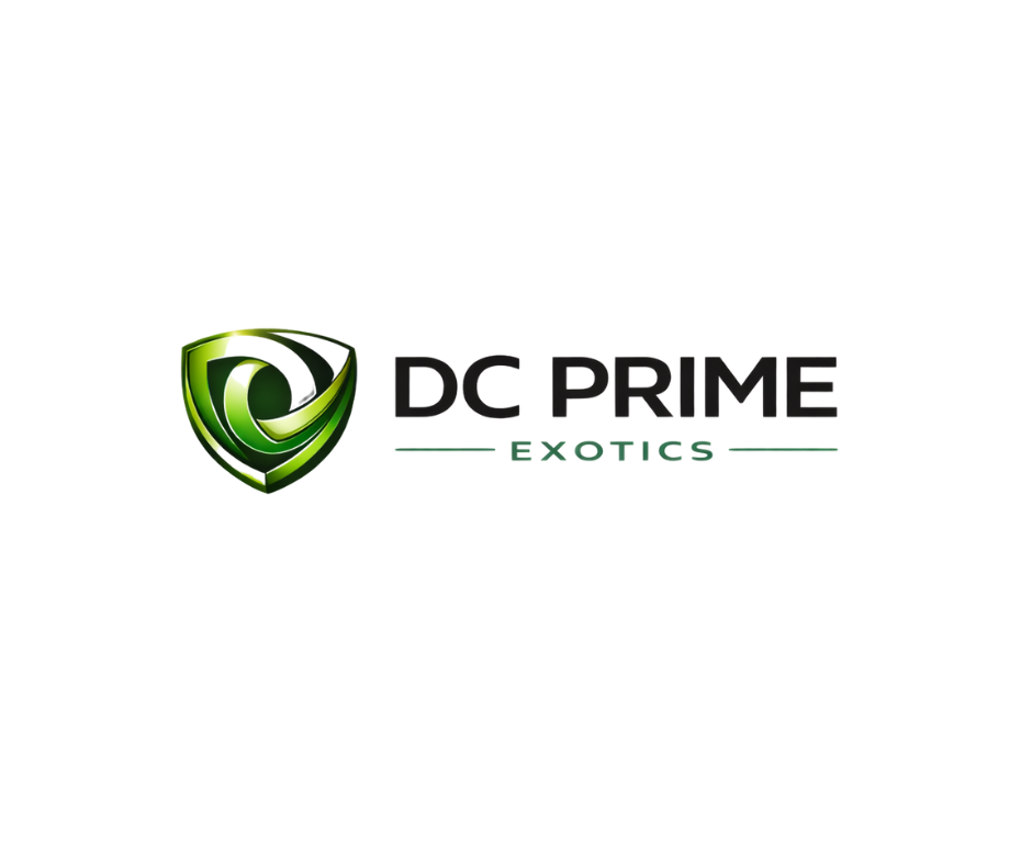 DC Prime Exotics