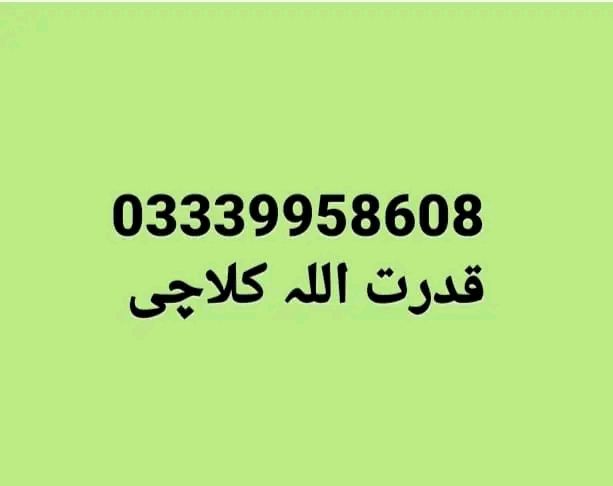 دانی ٹی وی