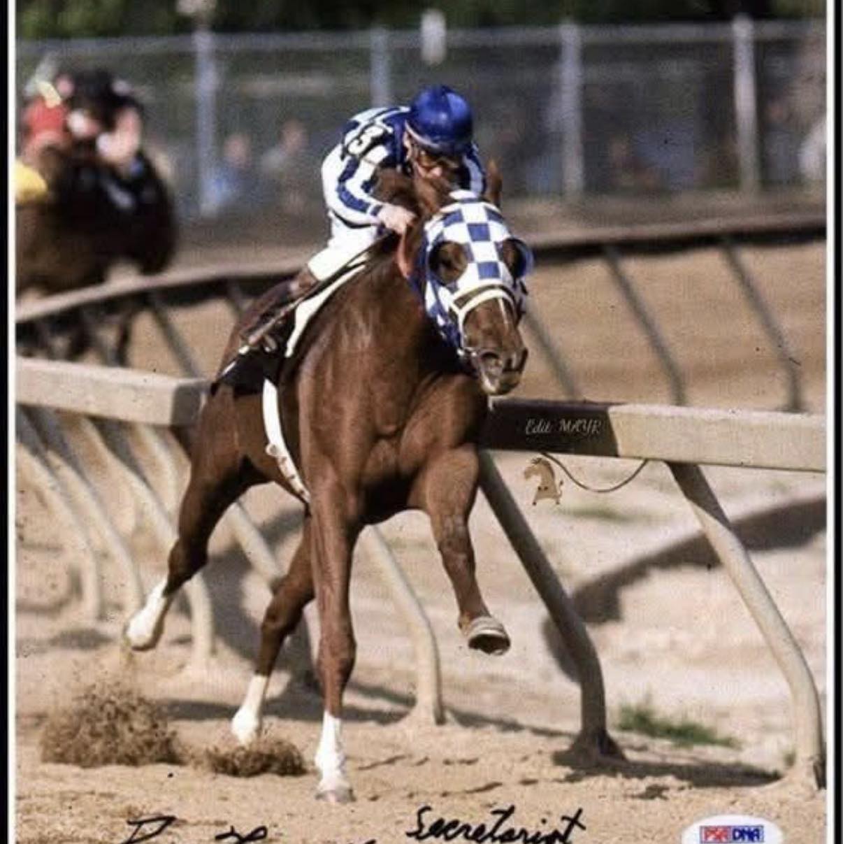 SECRETARIAT 1970-1989. | There is a horse without whom Secretariat ...