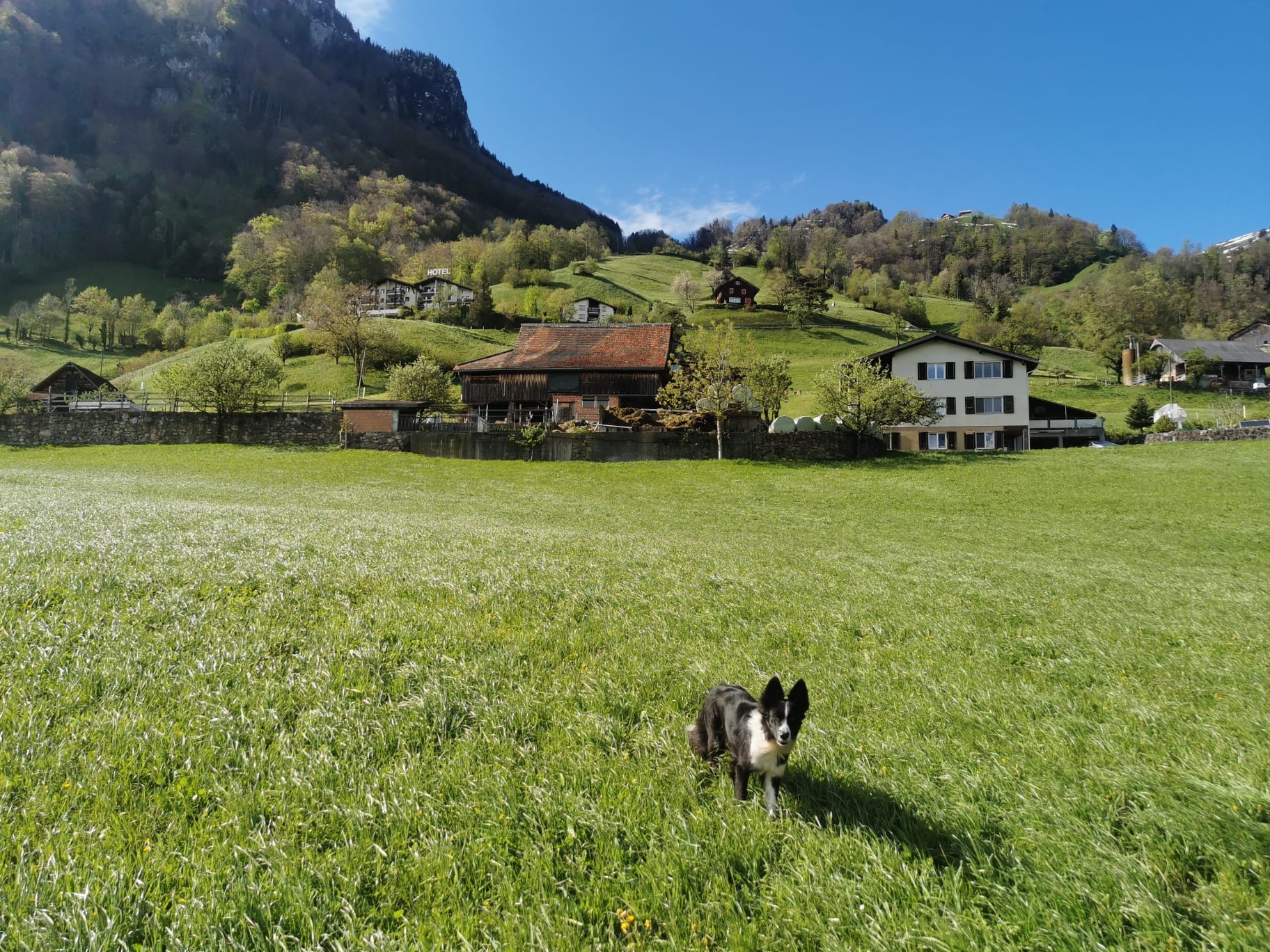 Ried Ranch
