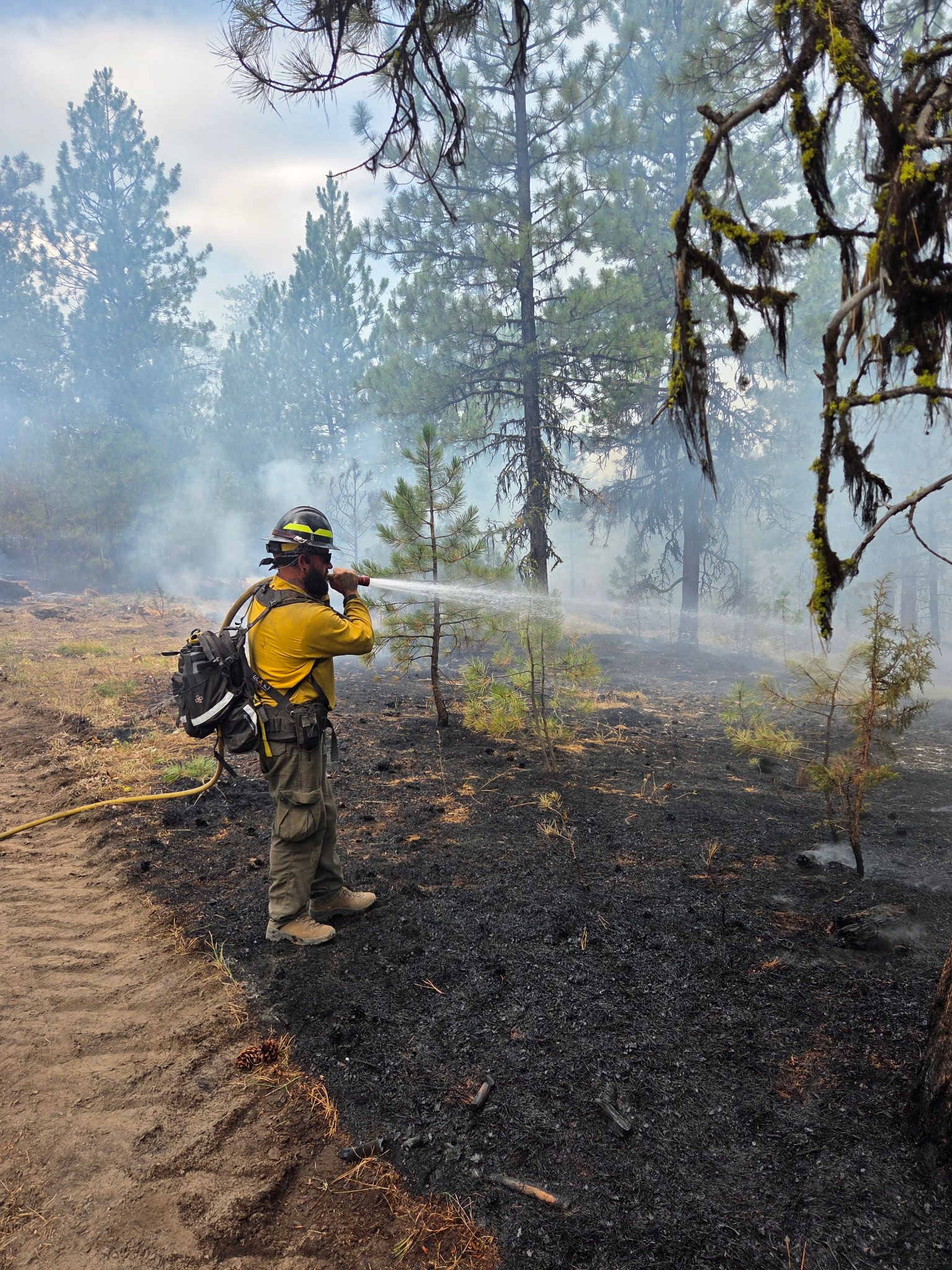 Coyote Fire