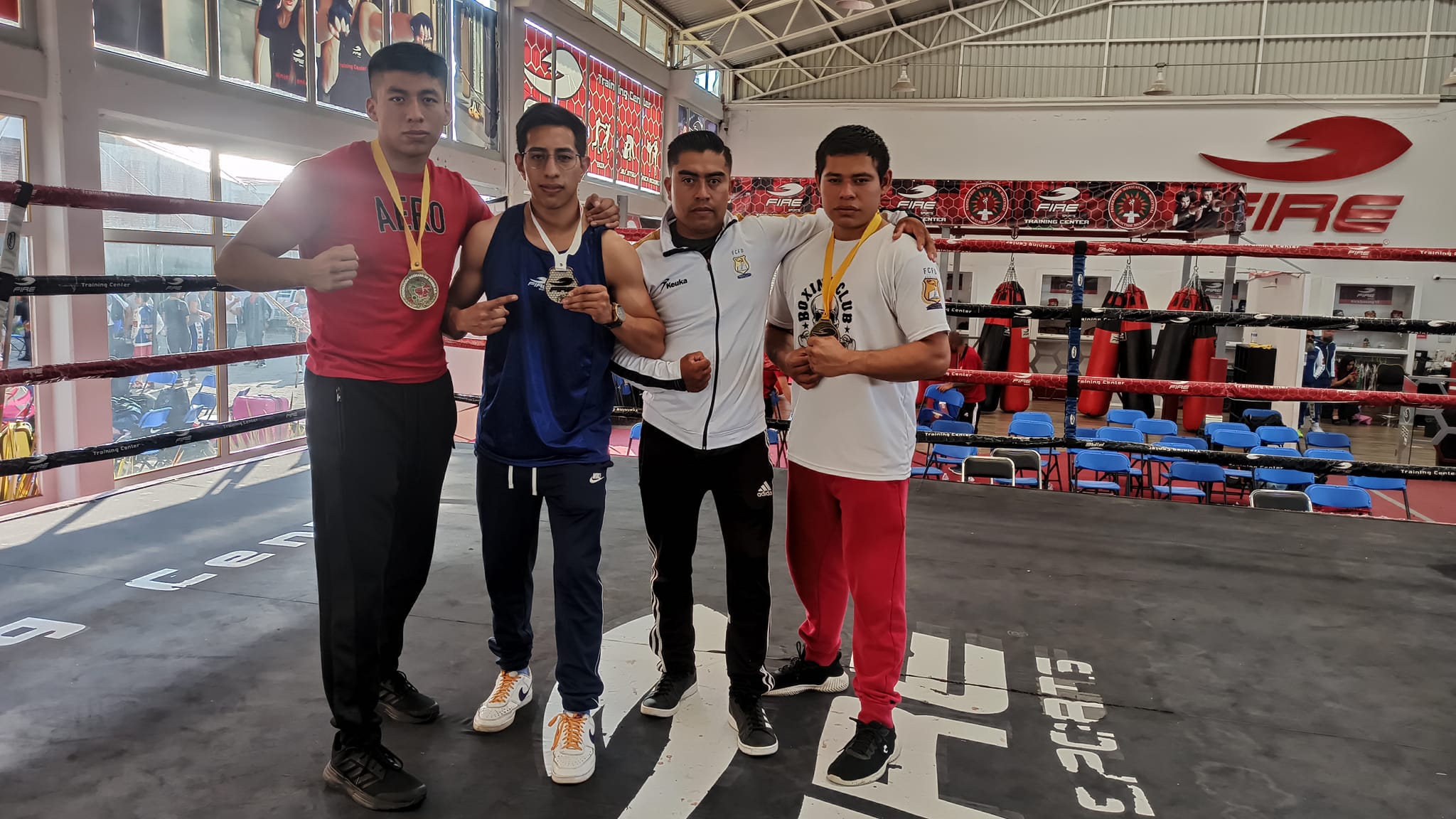 Avispero de Ali Box