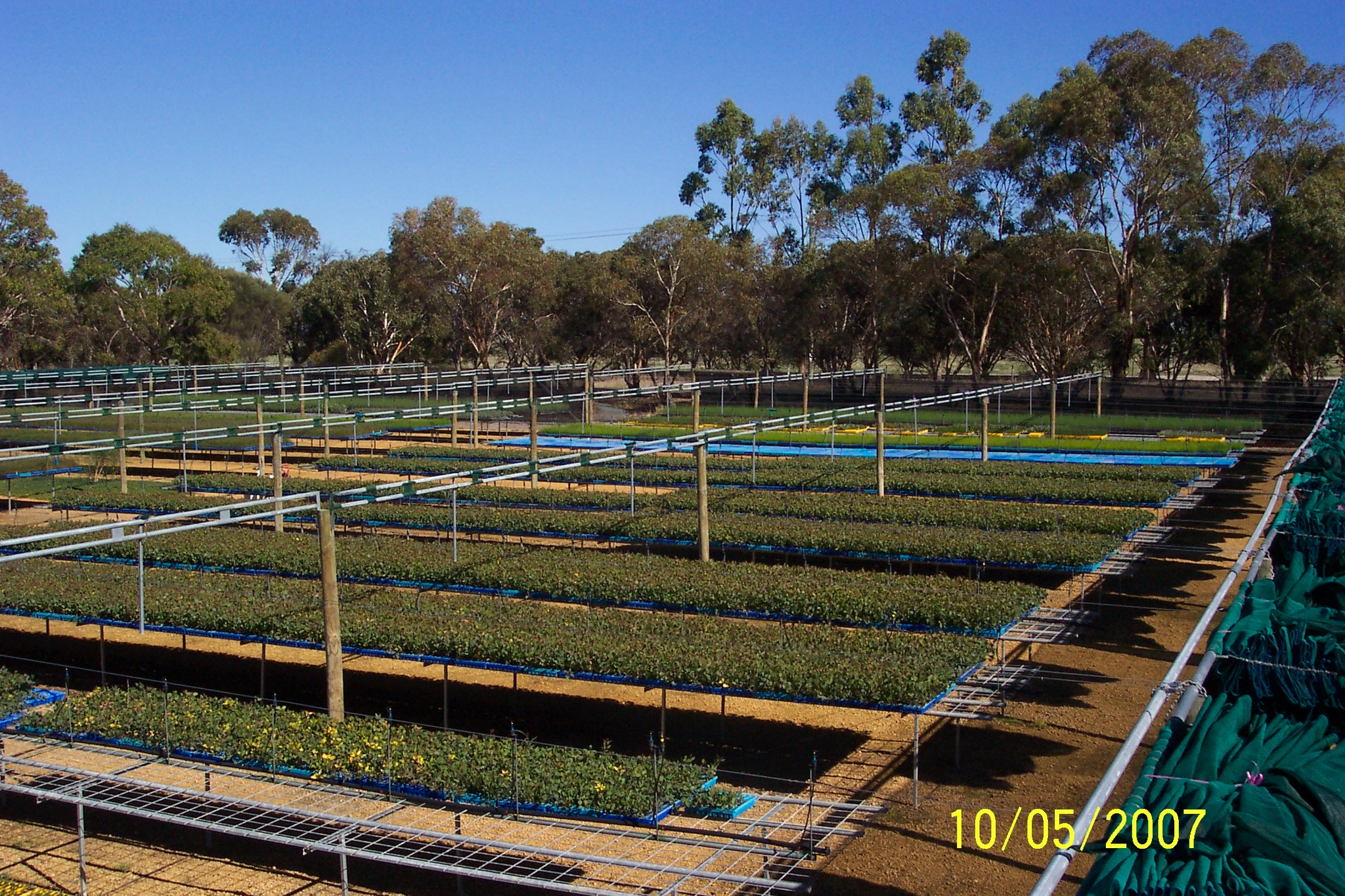 BLYTH TREE FARM | Katanning WA