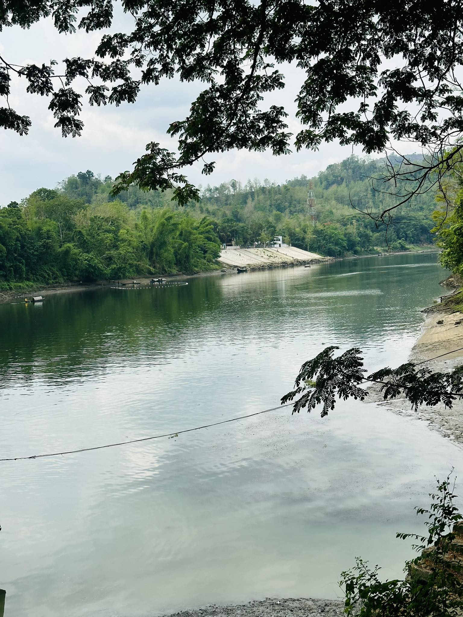 Ringki Chakma