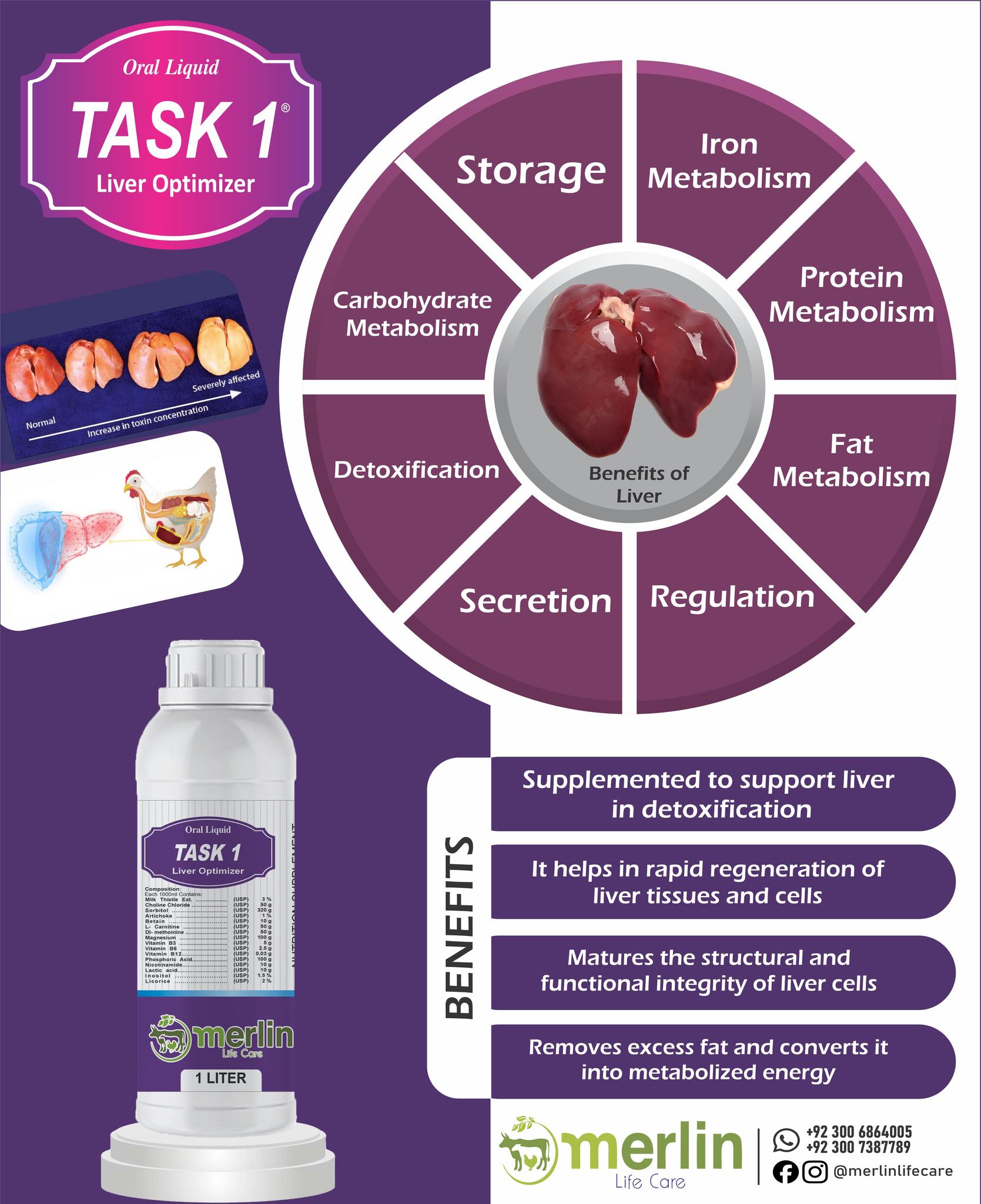 l-carnitine and liver function Role of carnitine in disease | Nutrition & Metabolism Effect of L-Carnitine Supplementation on