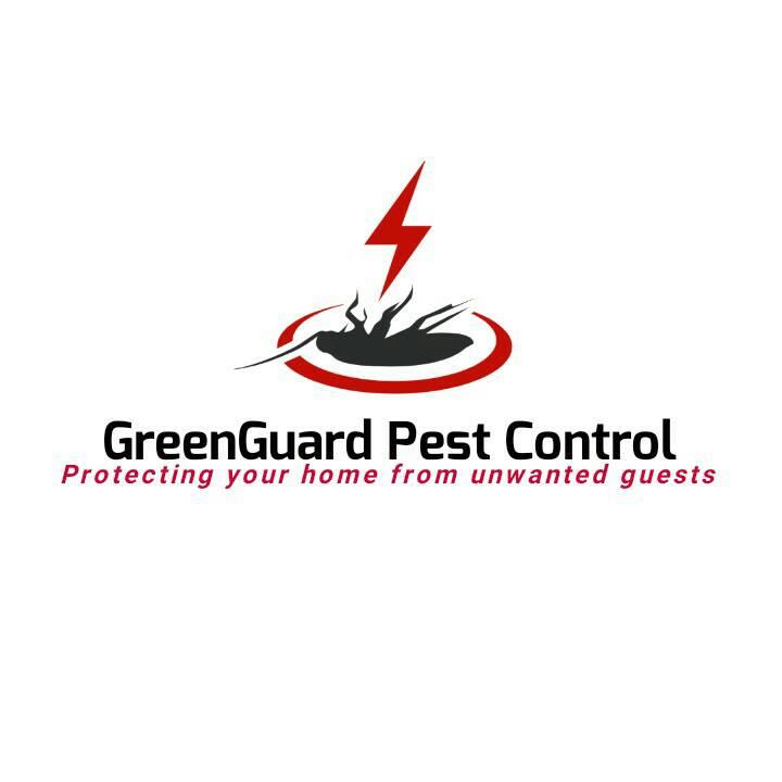 🐀 Humane Rat Control Quick clip of me taking care of a rat the safe ...