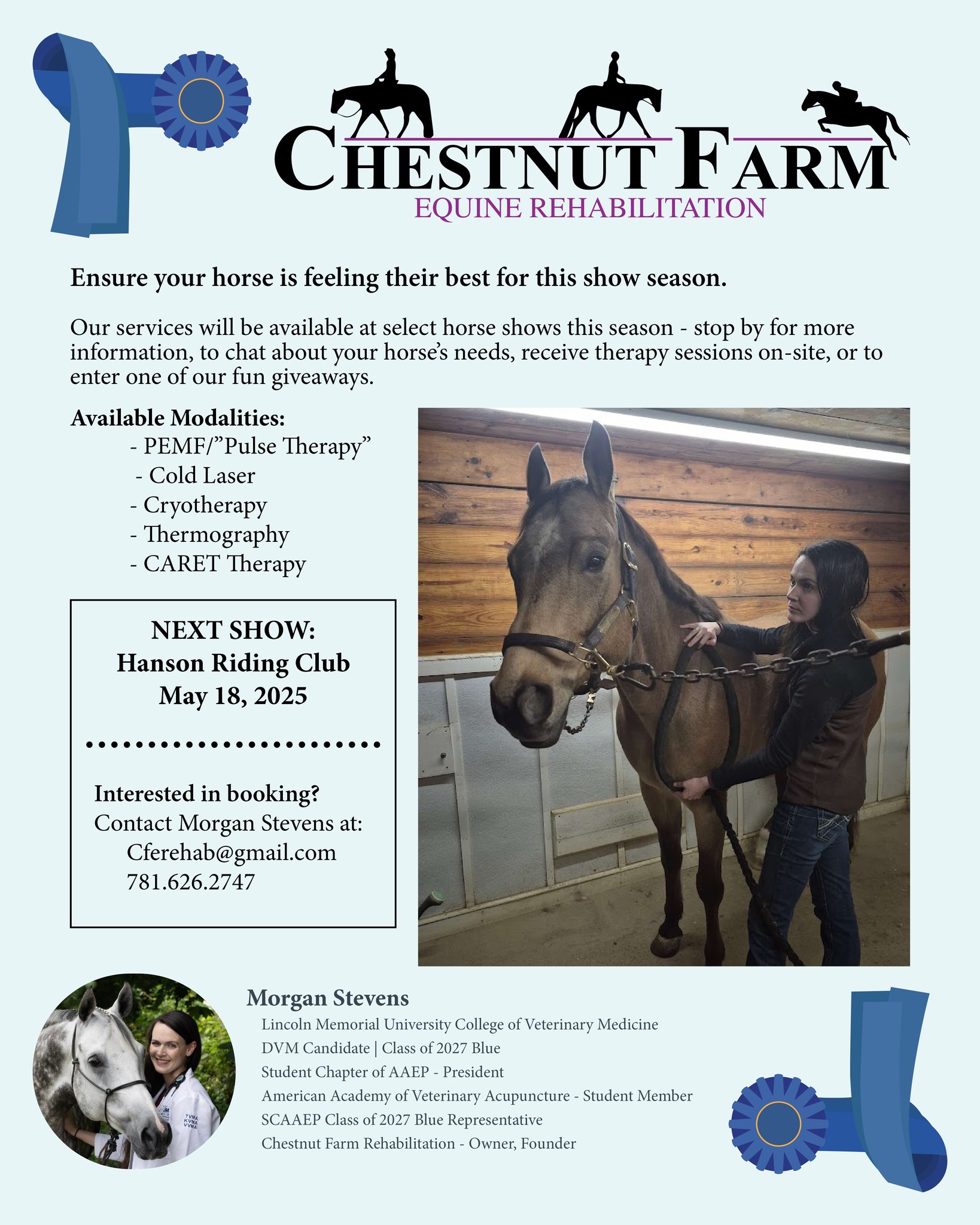 Chestnut Farm Equine Rehabilitation