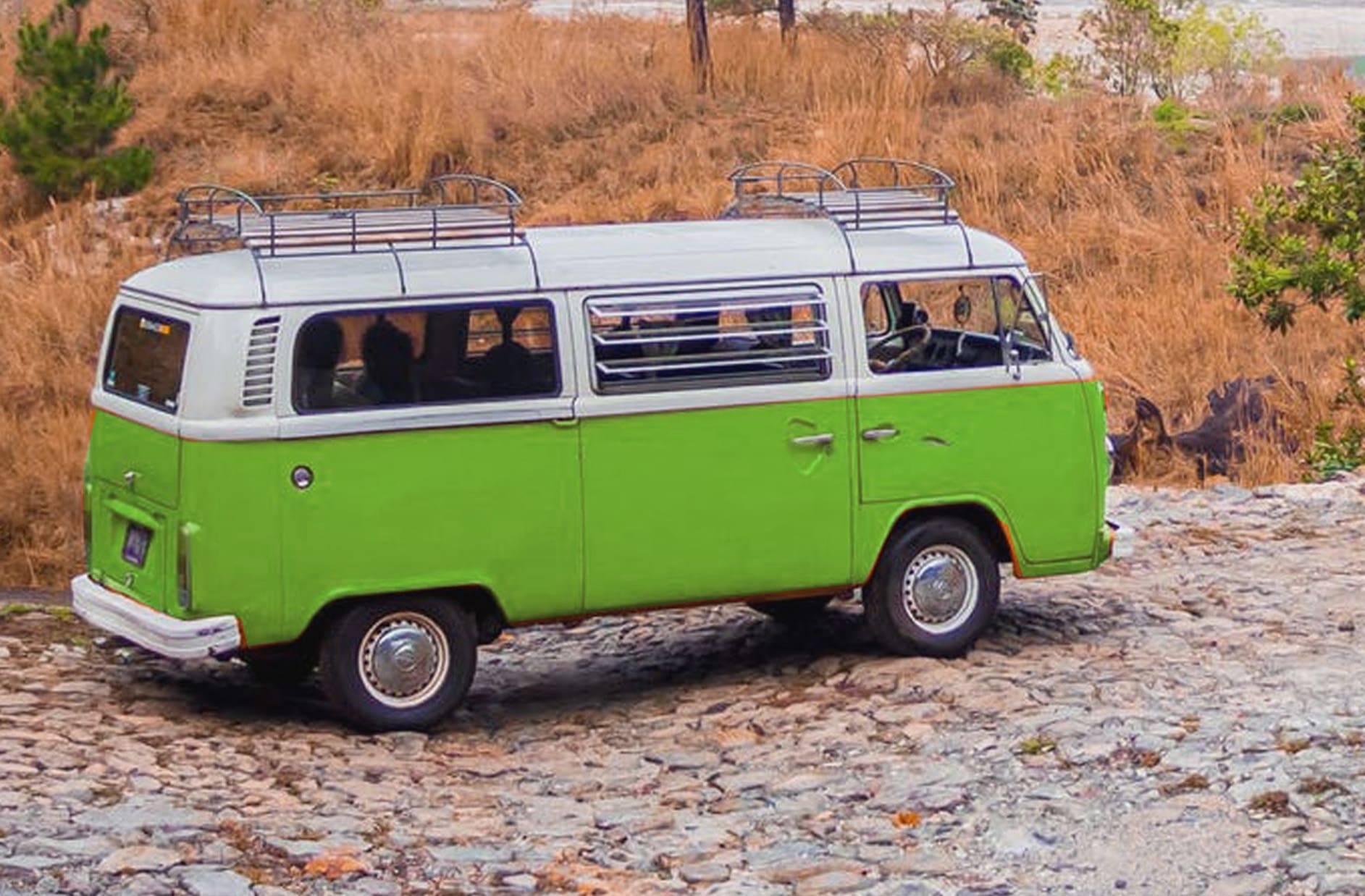 Magic Tree Bus