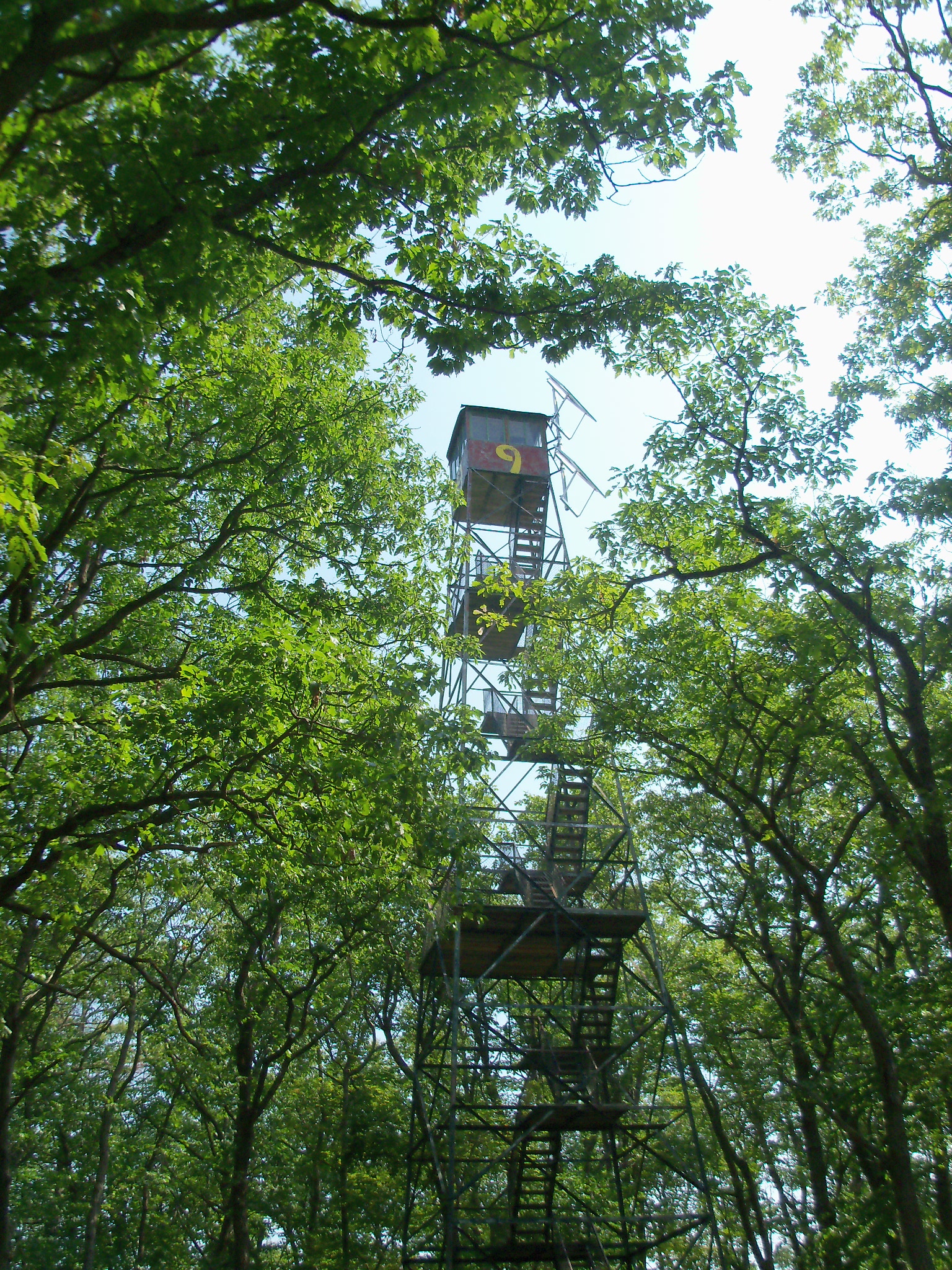 Cook Forest State Park | Cooksburg PA
