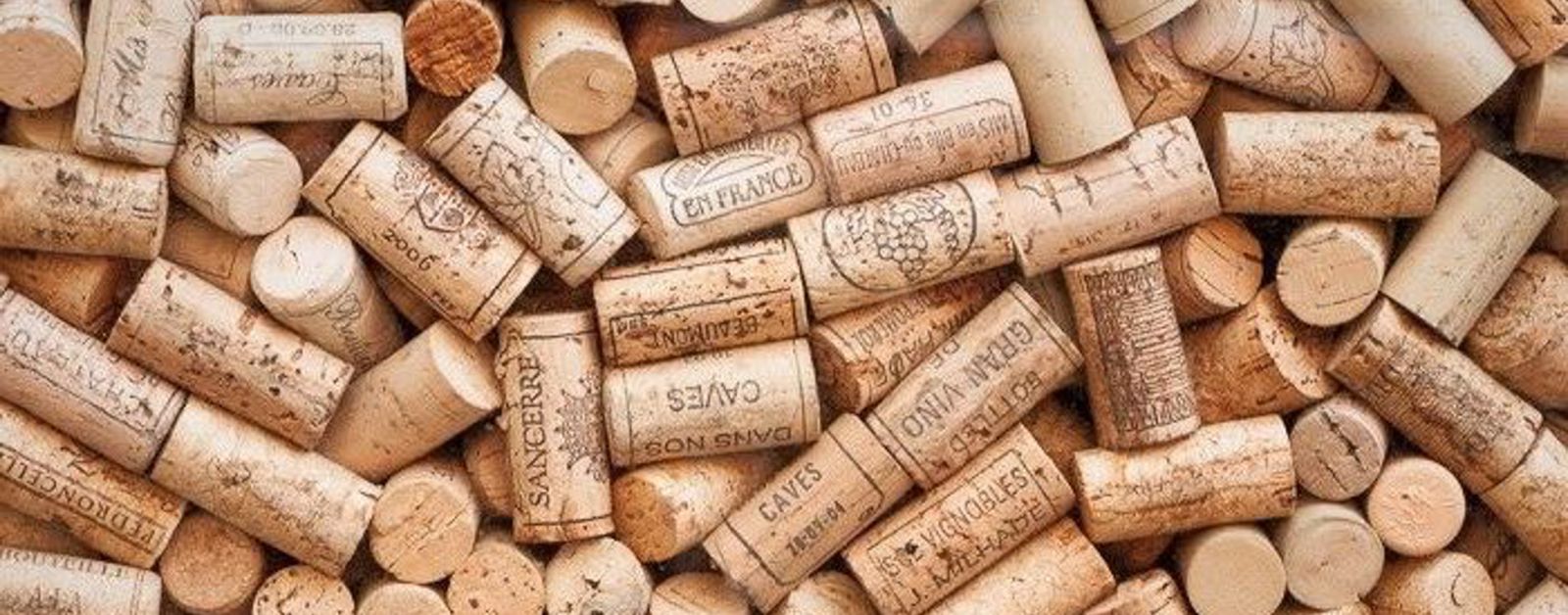 Winew HK | Kowloon