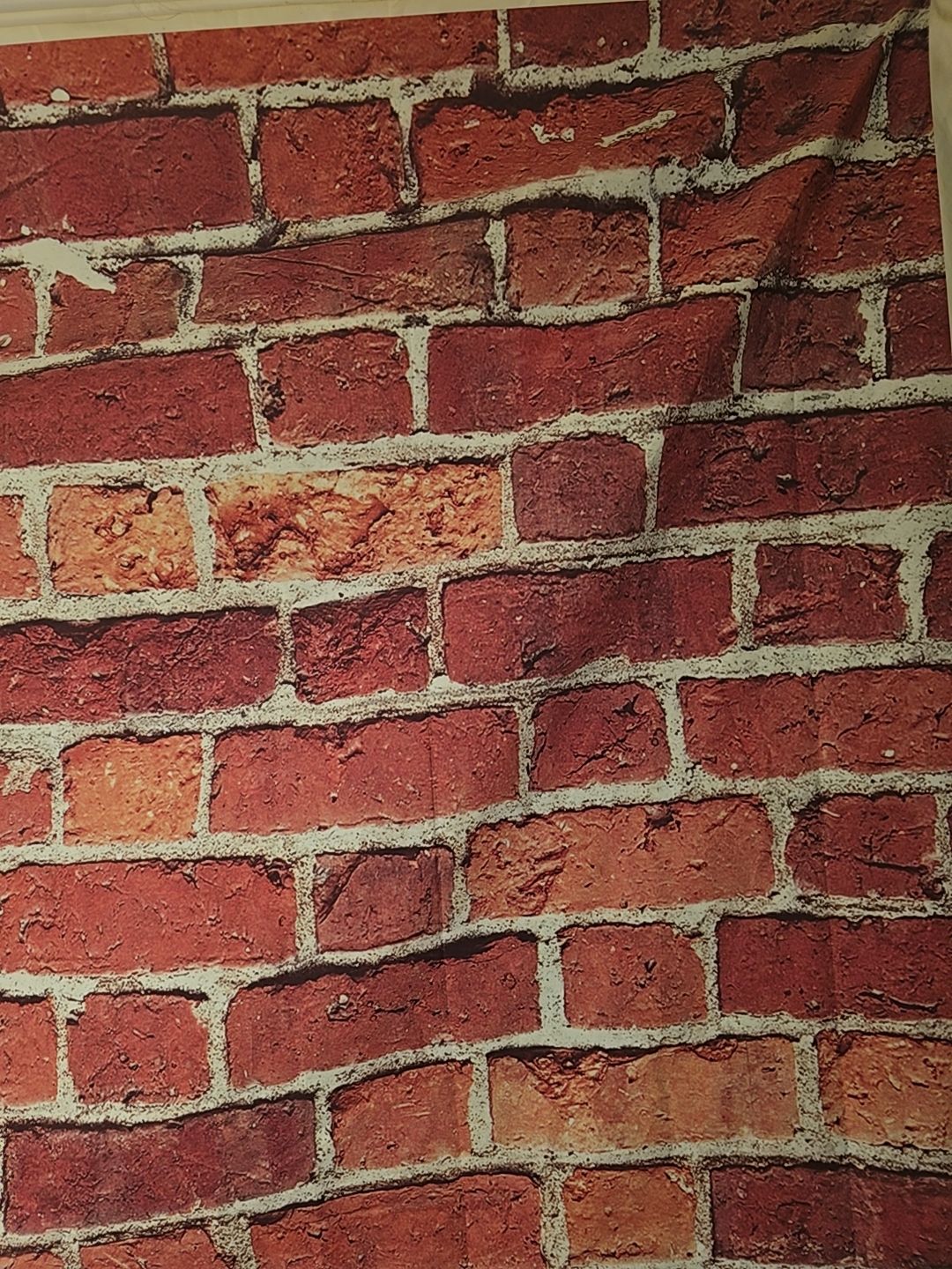We In The Bricks