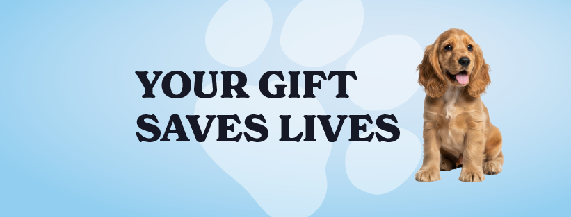 IPaw Rescue Network