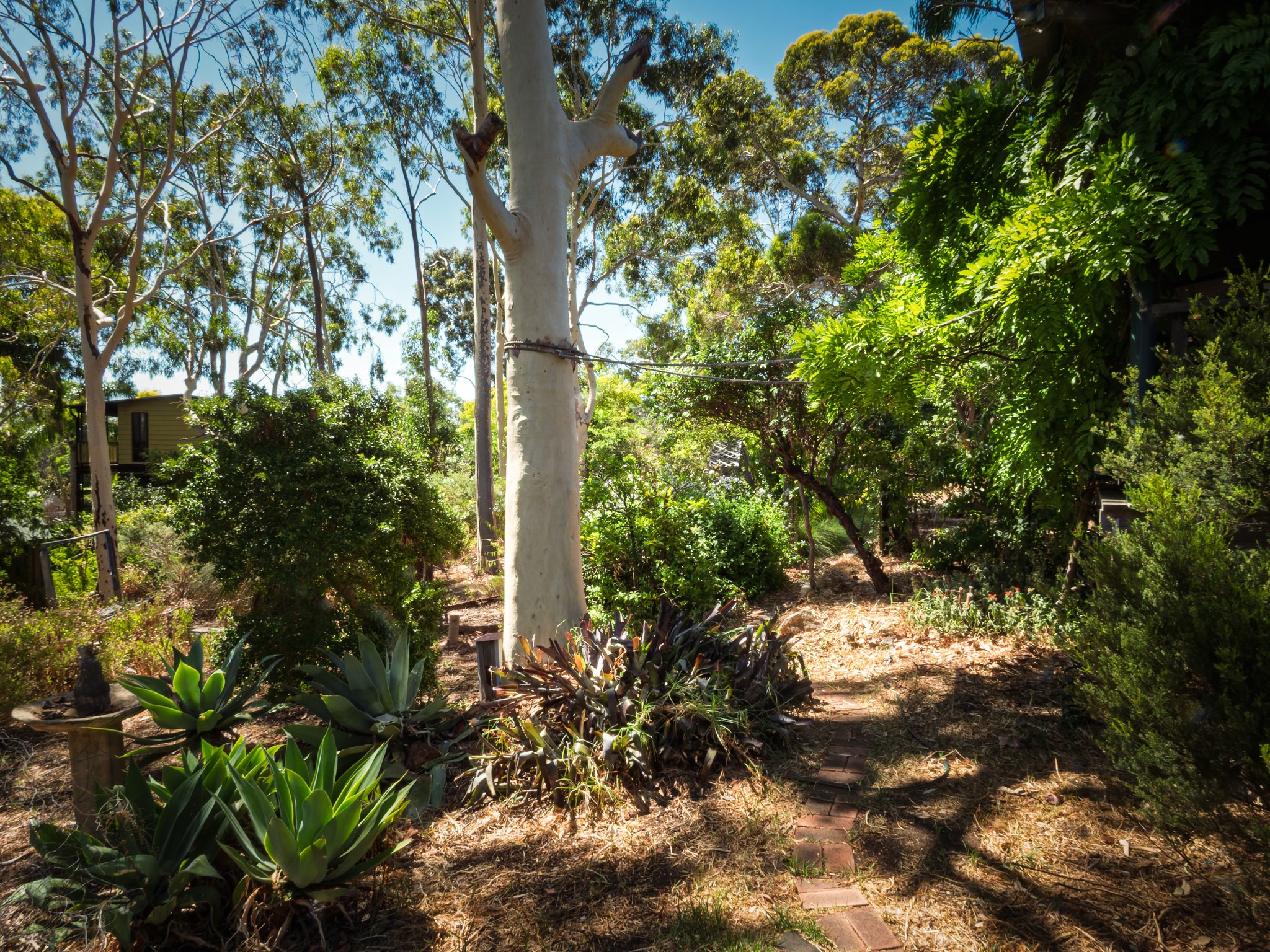Outback Ecosystems | Perth WA