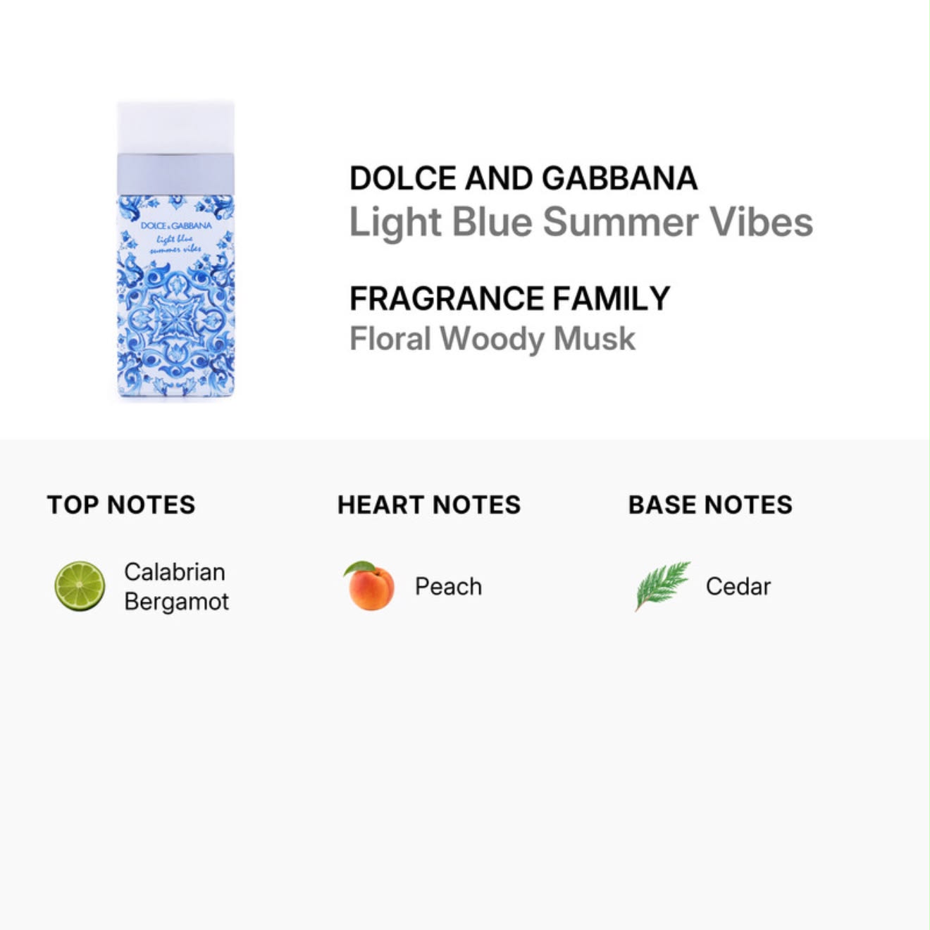 Dolce and Gabbana Light Blue Summer Vibes fragrance notes