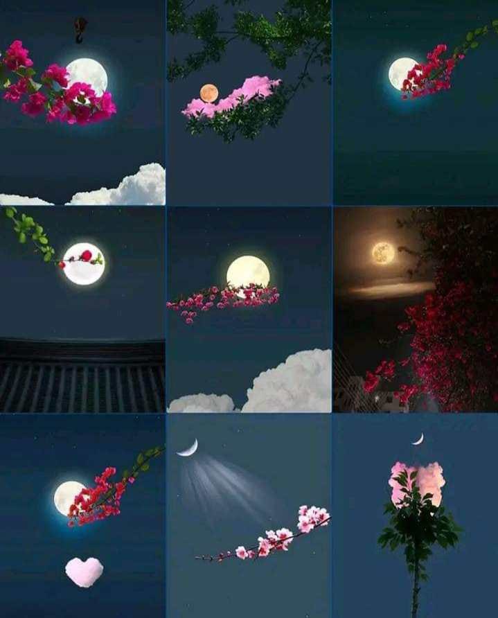 Pagall Manuss