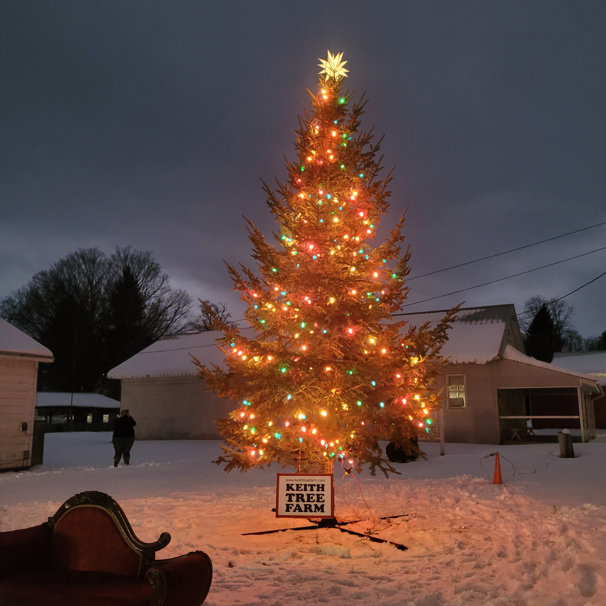 Keith Tree Farm