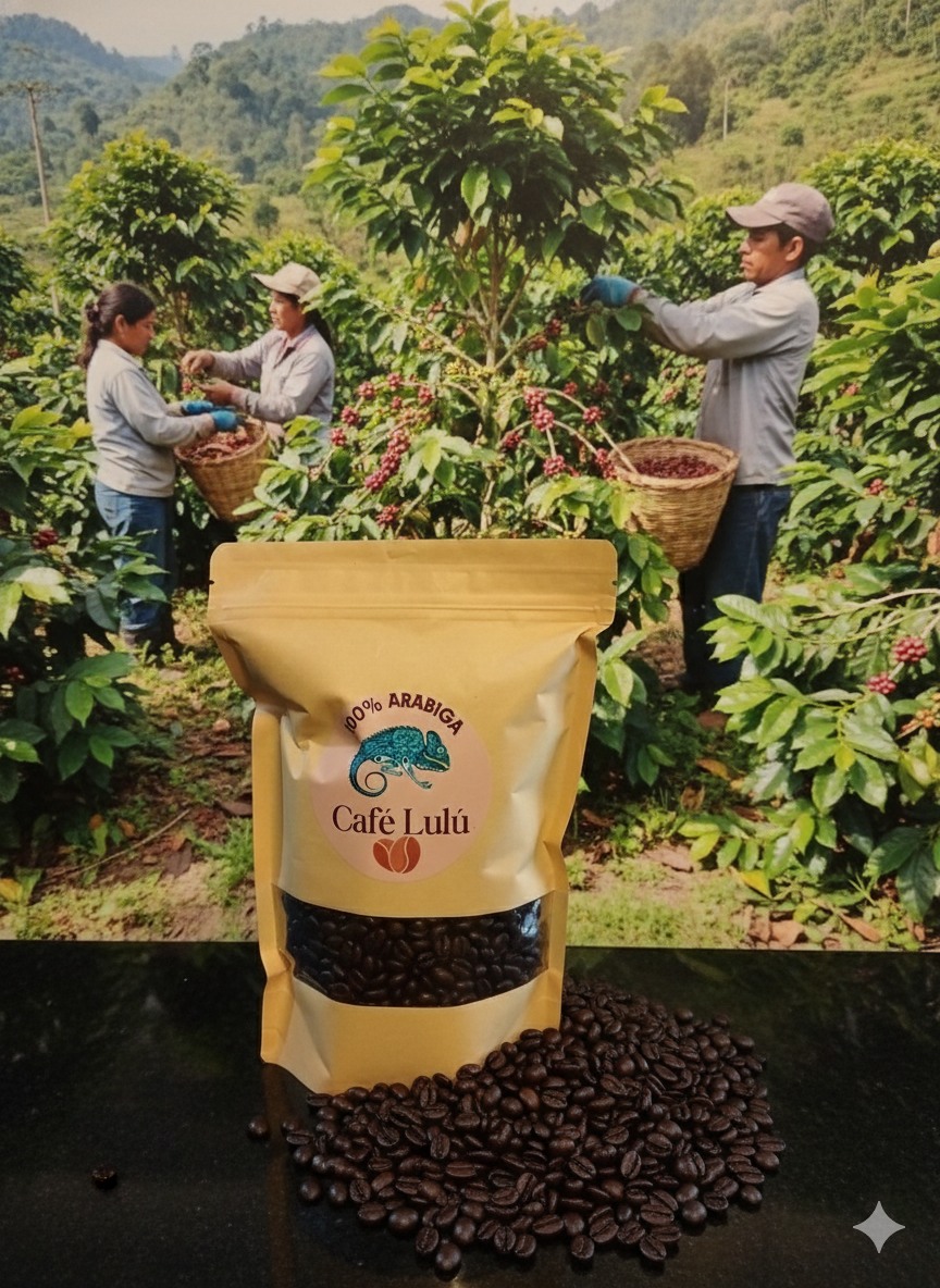 Café Lulú | Monterrey