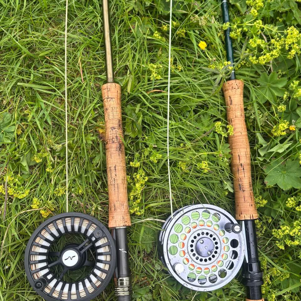 One river. Five spots. Only ONE cast! Where would you cast your fly to ...