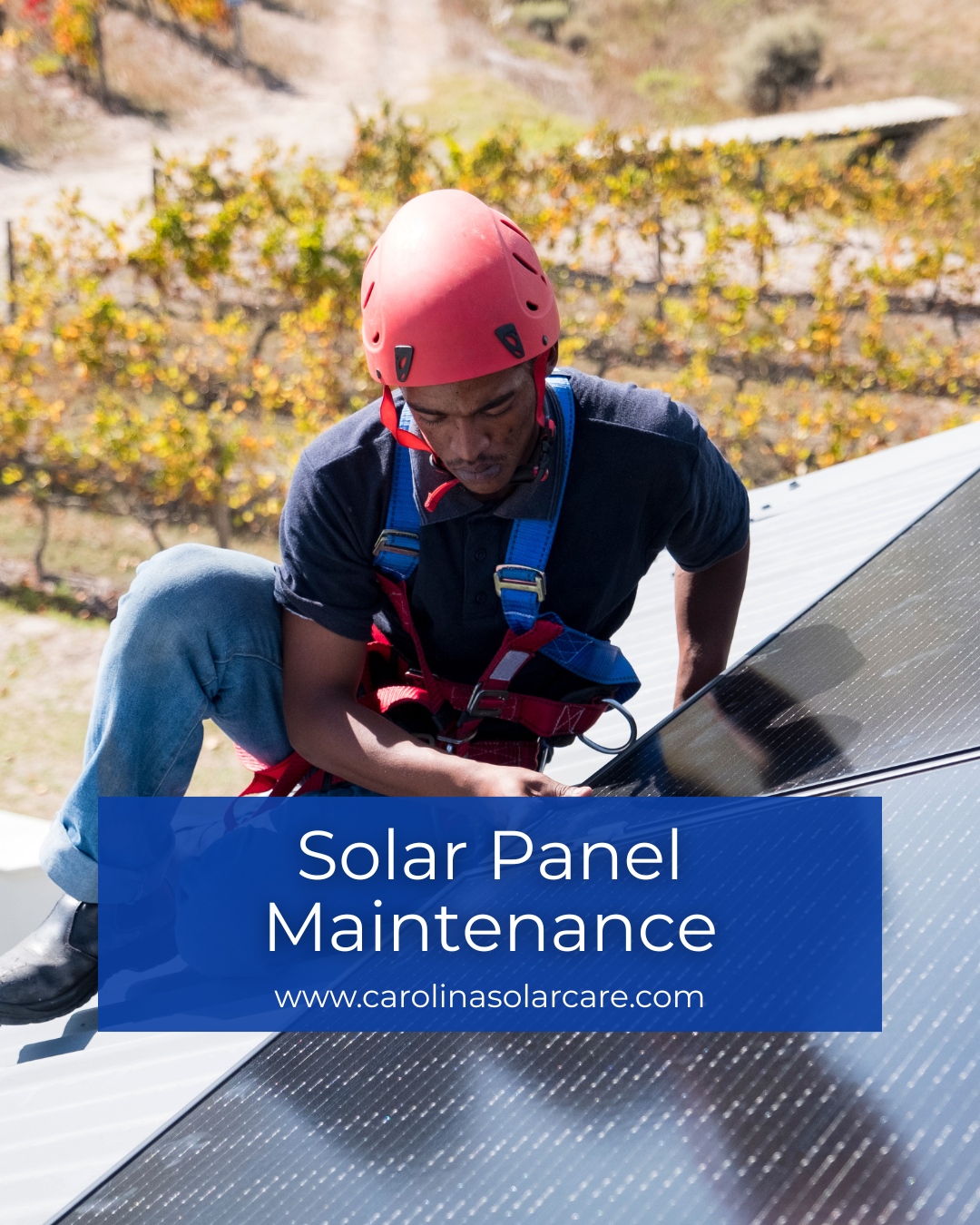 SC Solar - Solar panels are built to last, but routine... | Facebook