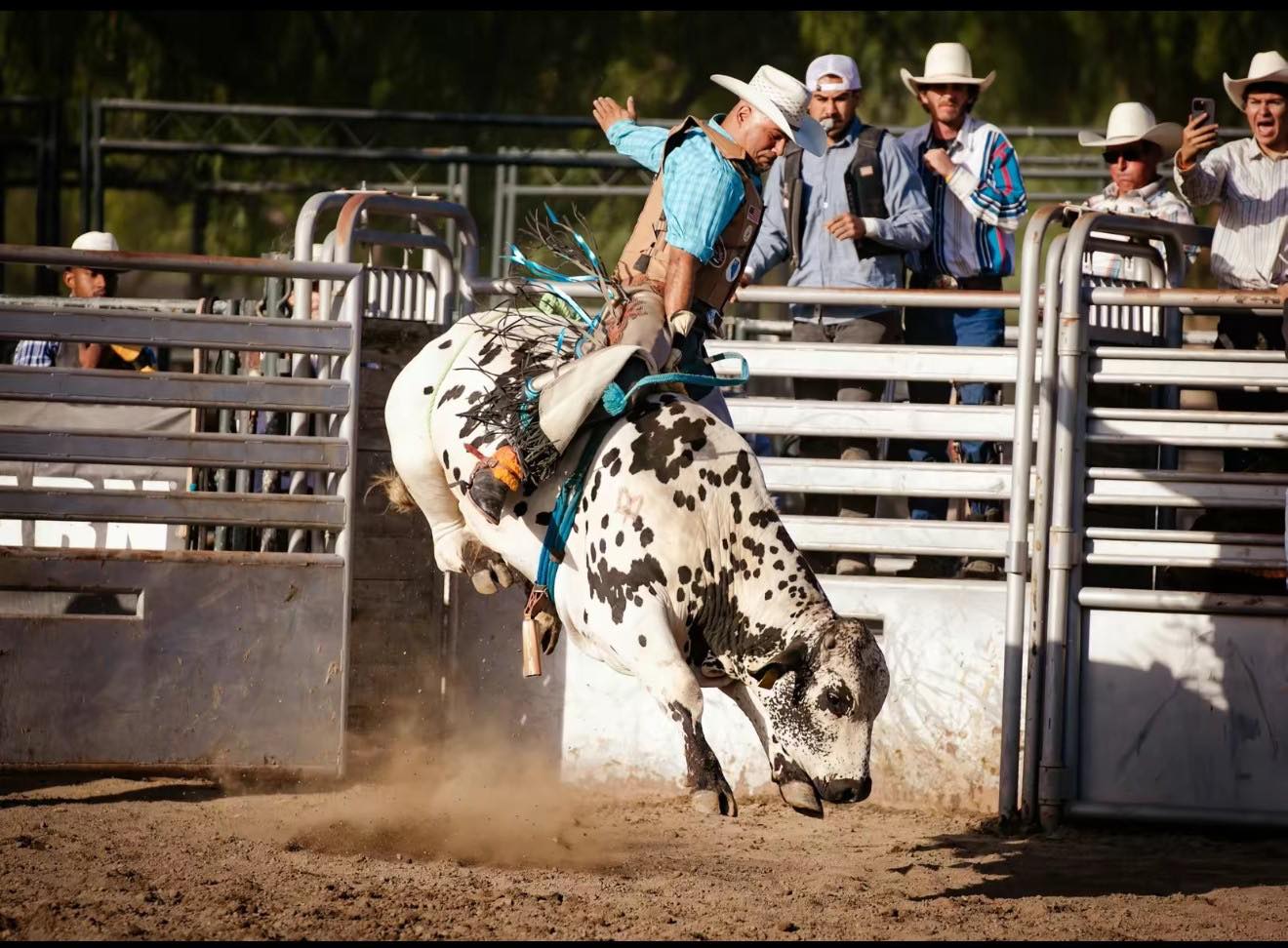 Chino Rodeo