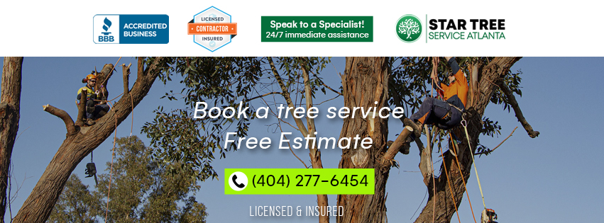 Atlanta Decking & Fence Co.... - Atlanta Decking & Fence Co.