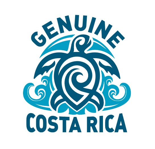 A little adventure. A little turquoise magic. A whole lot of Pura Vida ...