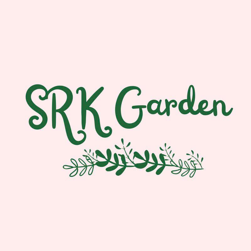 Avocado fruit tree | SRK