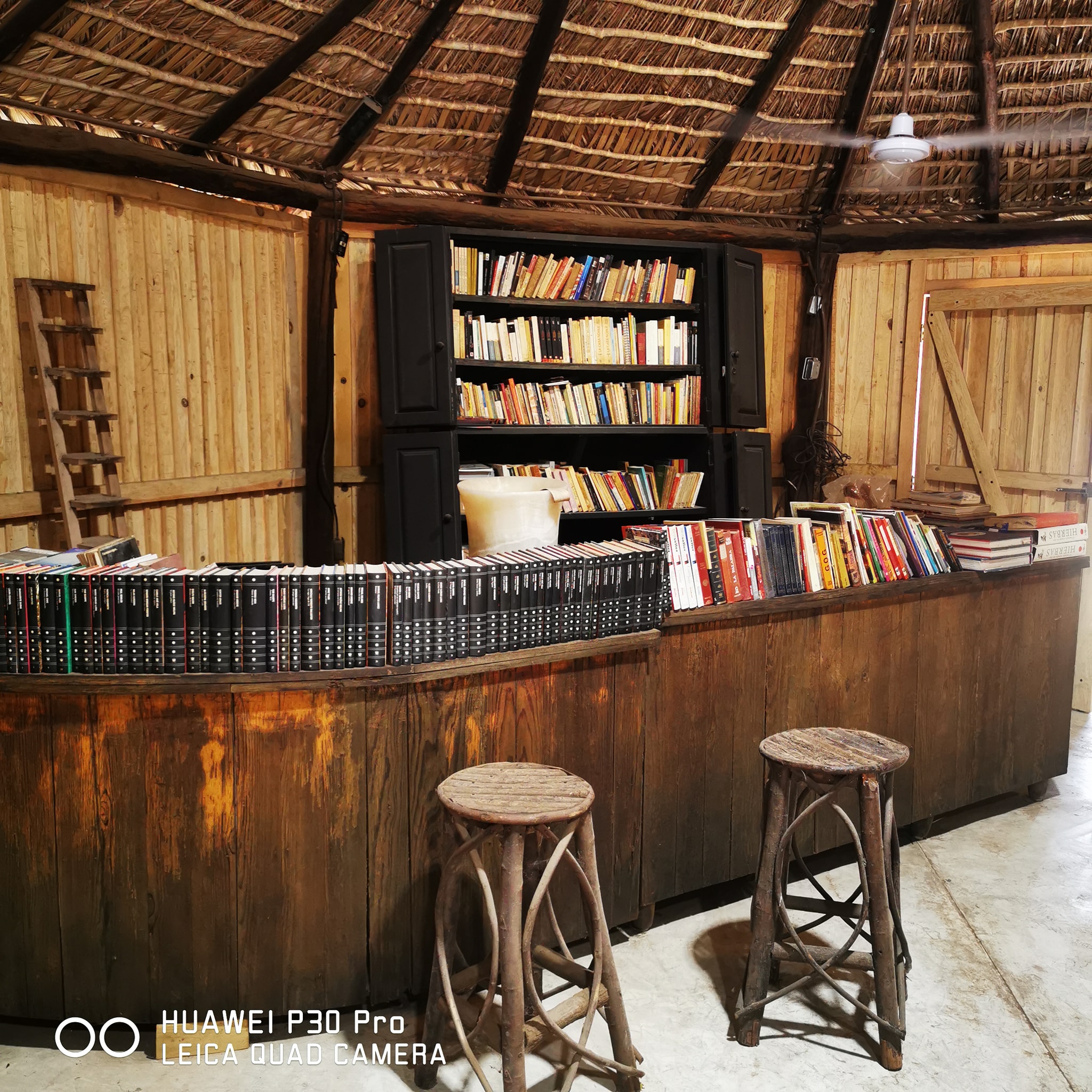 Librería Sewa Machiria | Navojoa