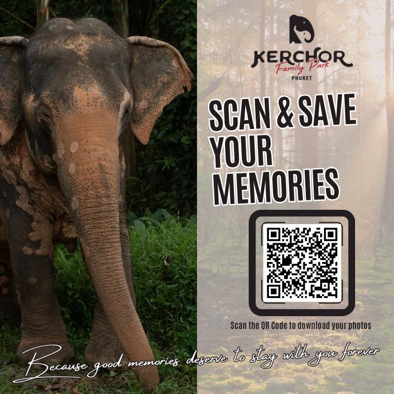 Kerchor Elephant Family Park Phuket