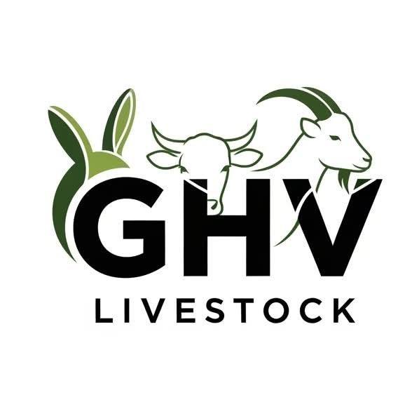 GHV Livestock Modern Farms is a modern livestock farming initiative ...
