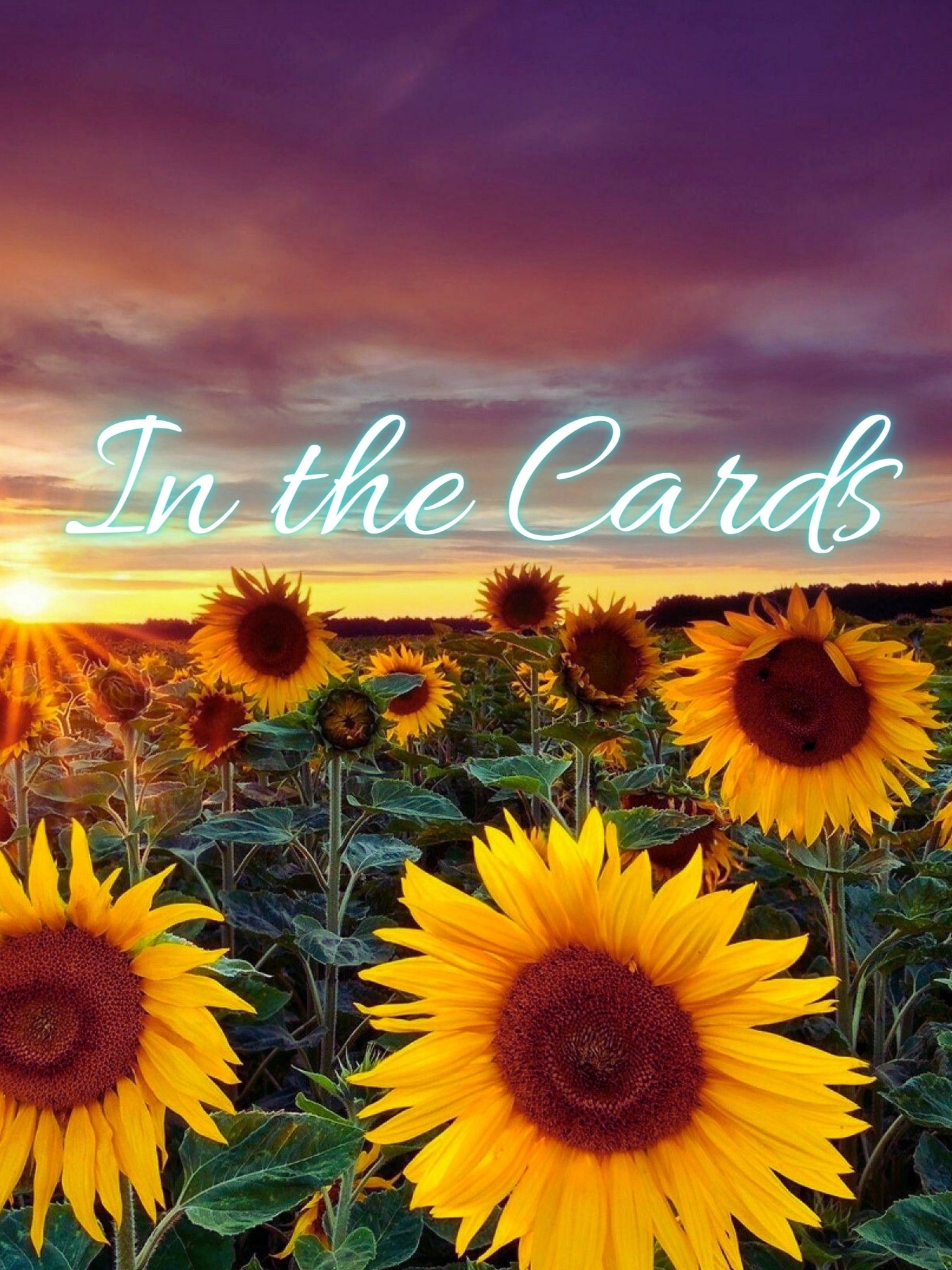 🎬 IN THE CARDS — Official Trailer Out Now Watch the trailer everyone’s ...