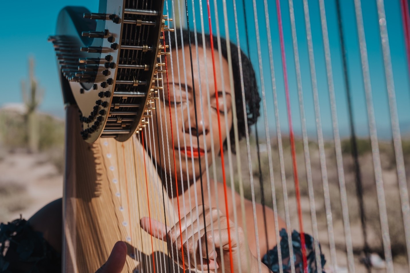 What is Intuitive Harp... - Jessica Foley Intuitive Harpist | Facebook