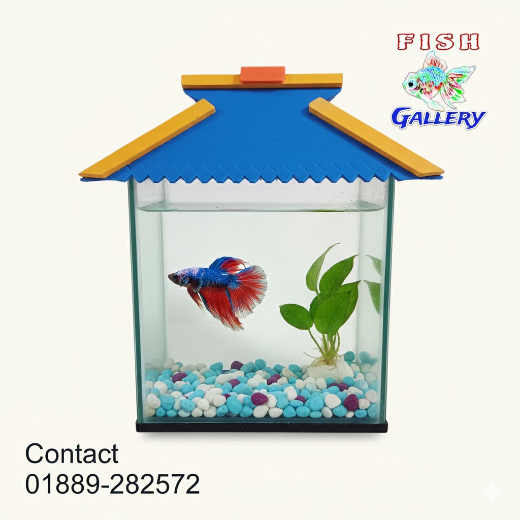 Fish Gallery