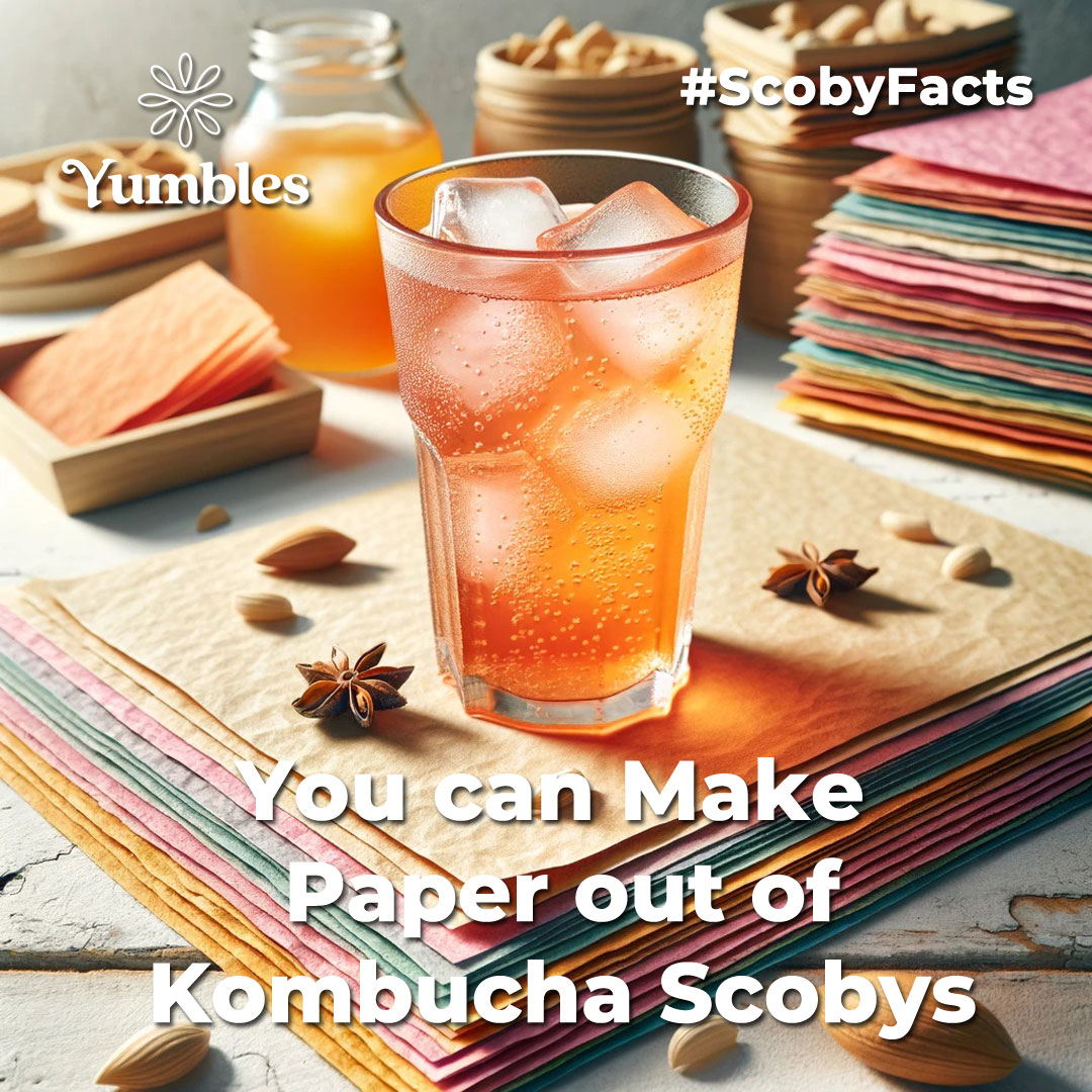 From Scoby to stationery! 📜 Did you... - Yumbles Kombucha | Facebook