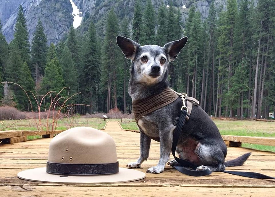 US Bark Rangers | Facebook