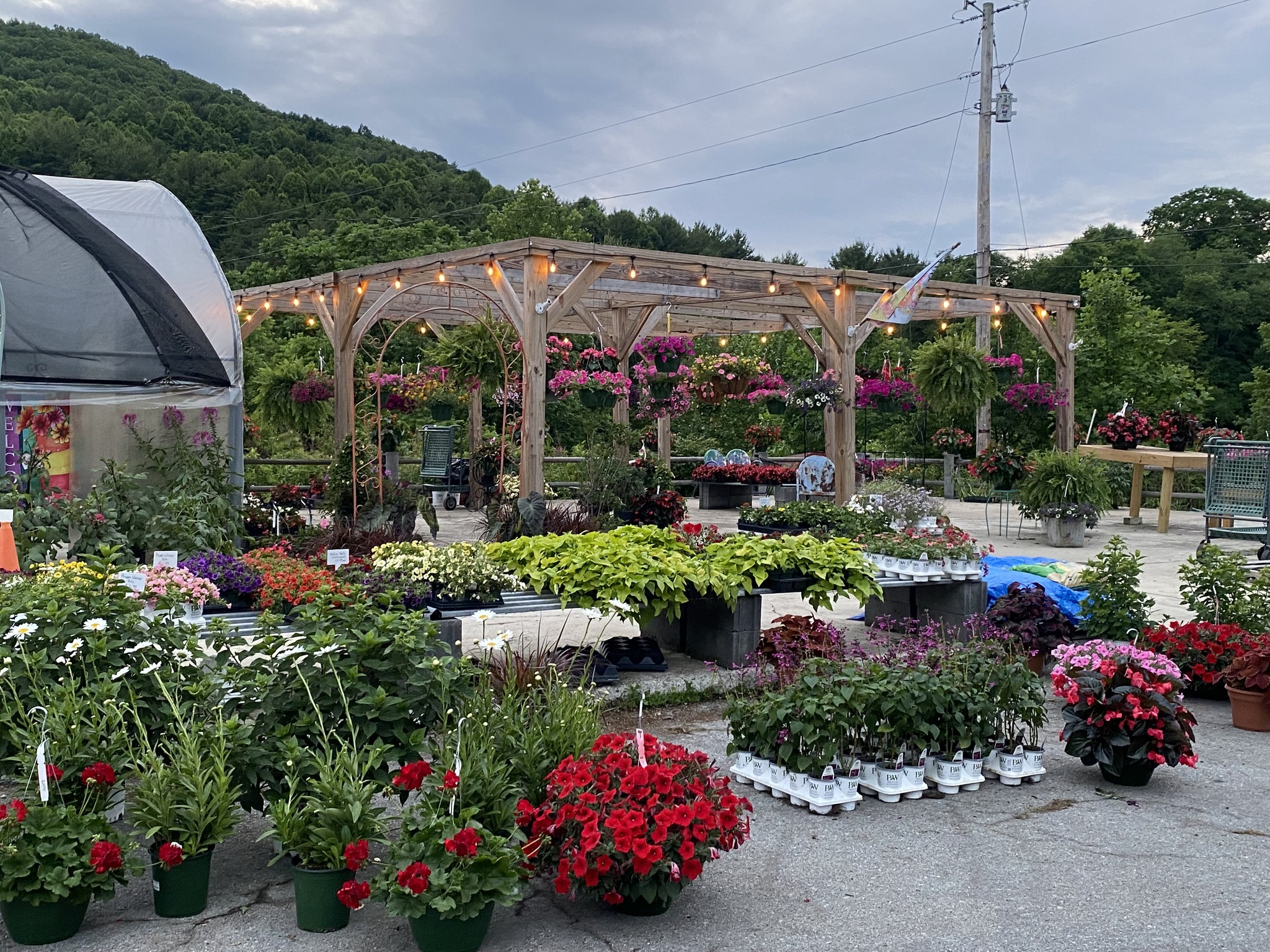 Roan Mountain Lawn & Garden | Roan Mountain TN