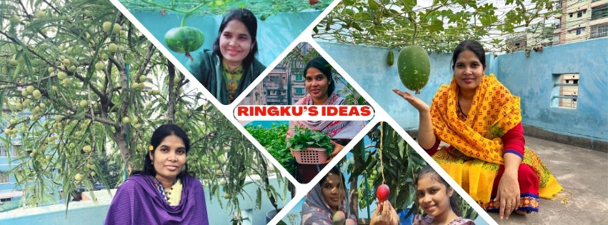 Ringku's Ideas