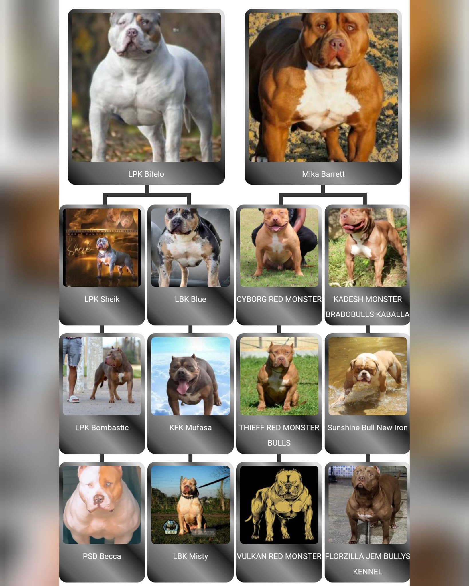 Rock Quarry Kennels | Howell MI