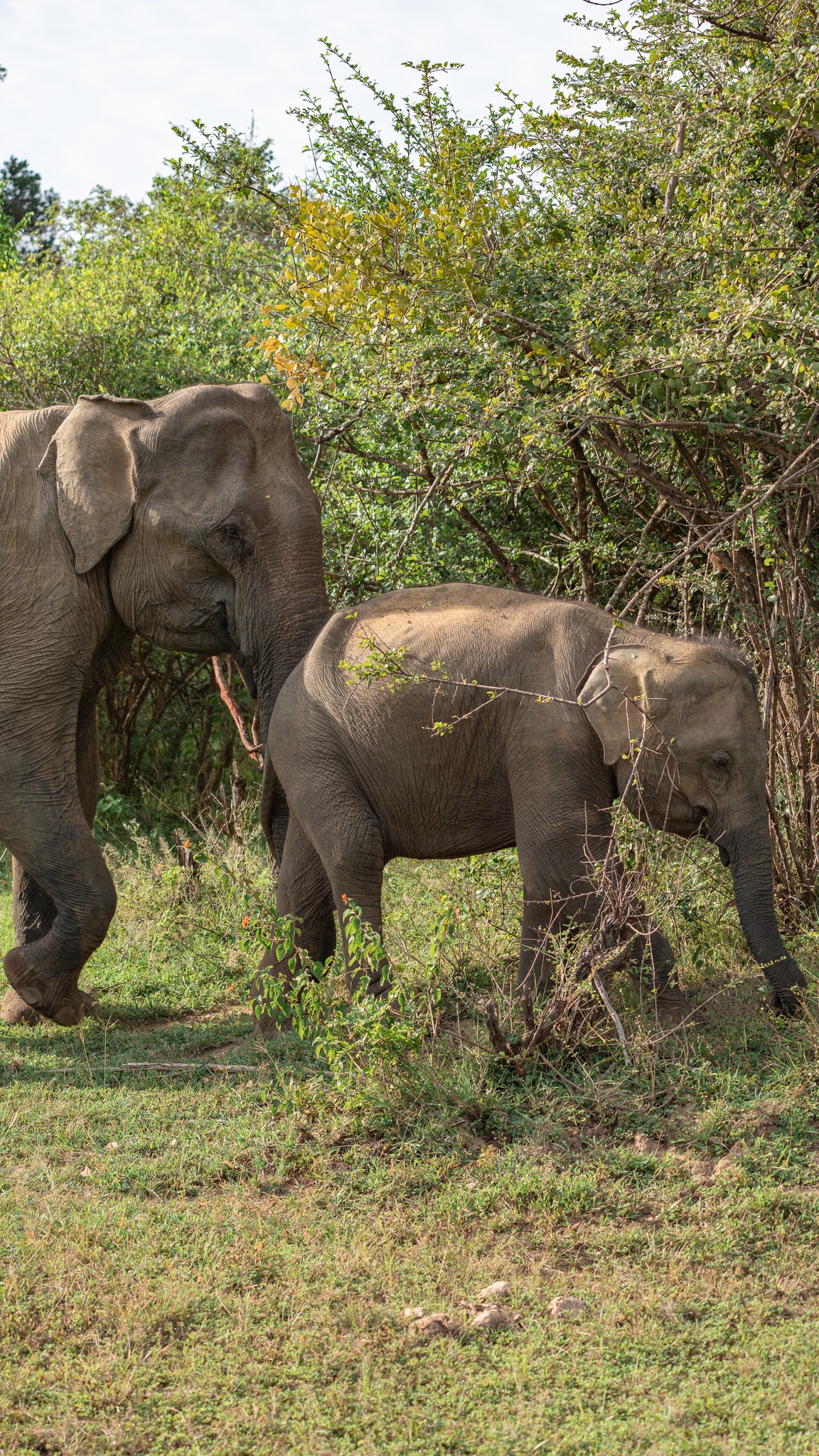Sri Lanka Bucket List