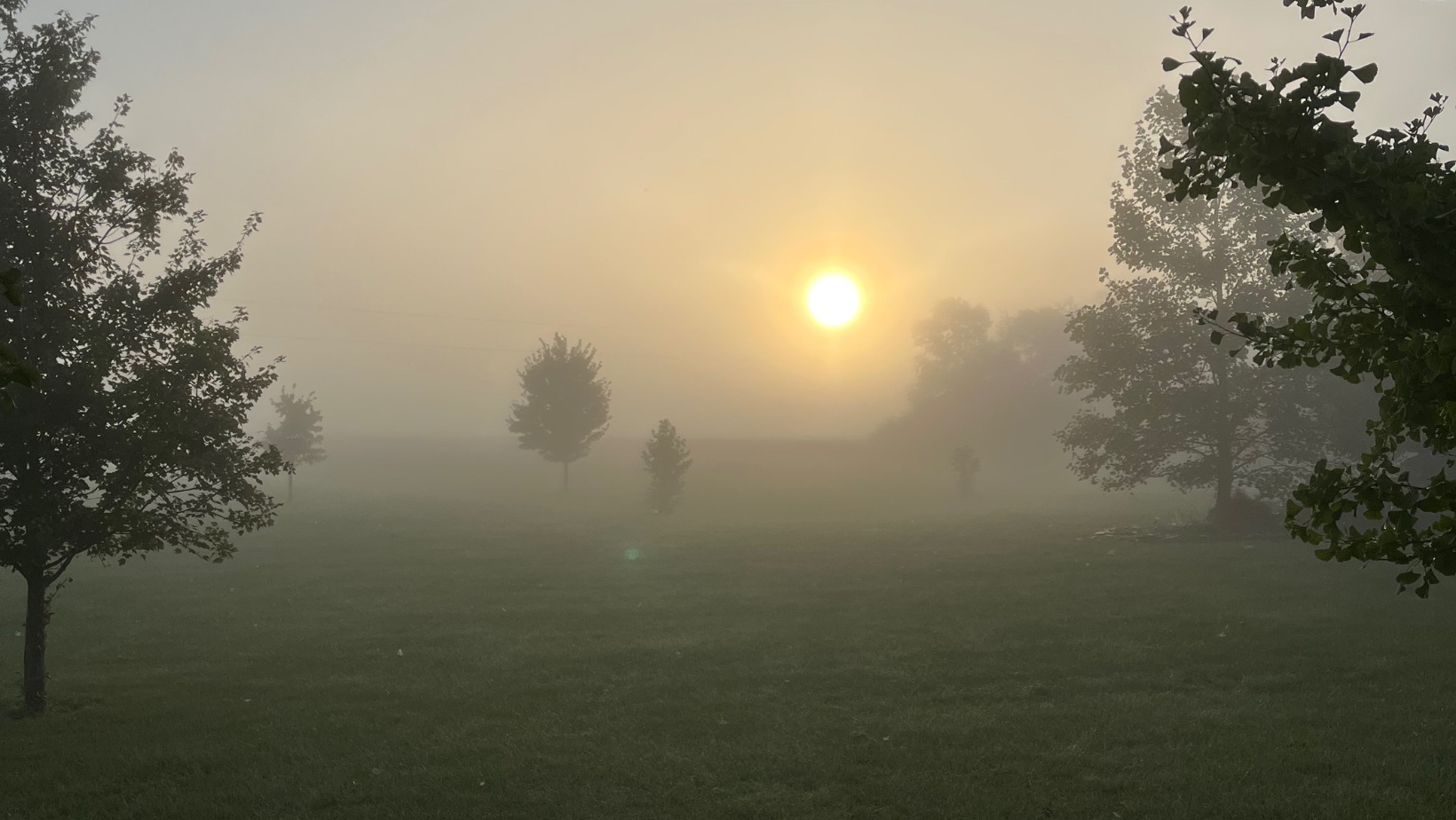 The Therapy Collaborative | Troy OH