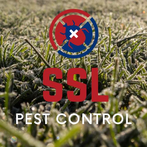 SSL pest control | Victoria TX